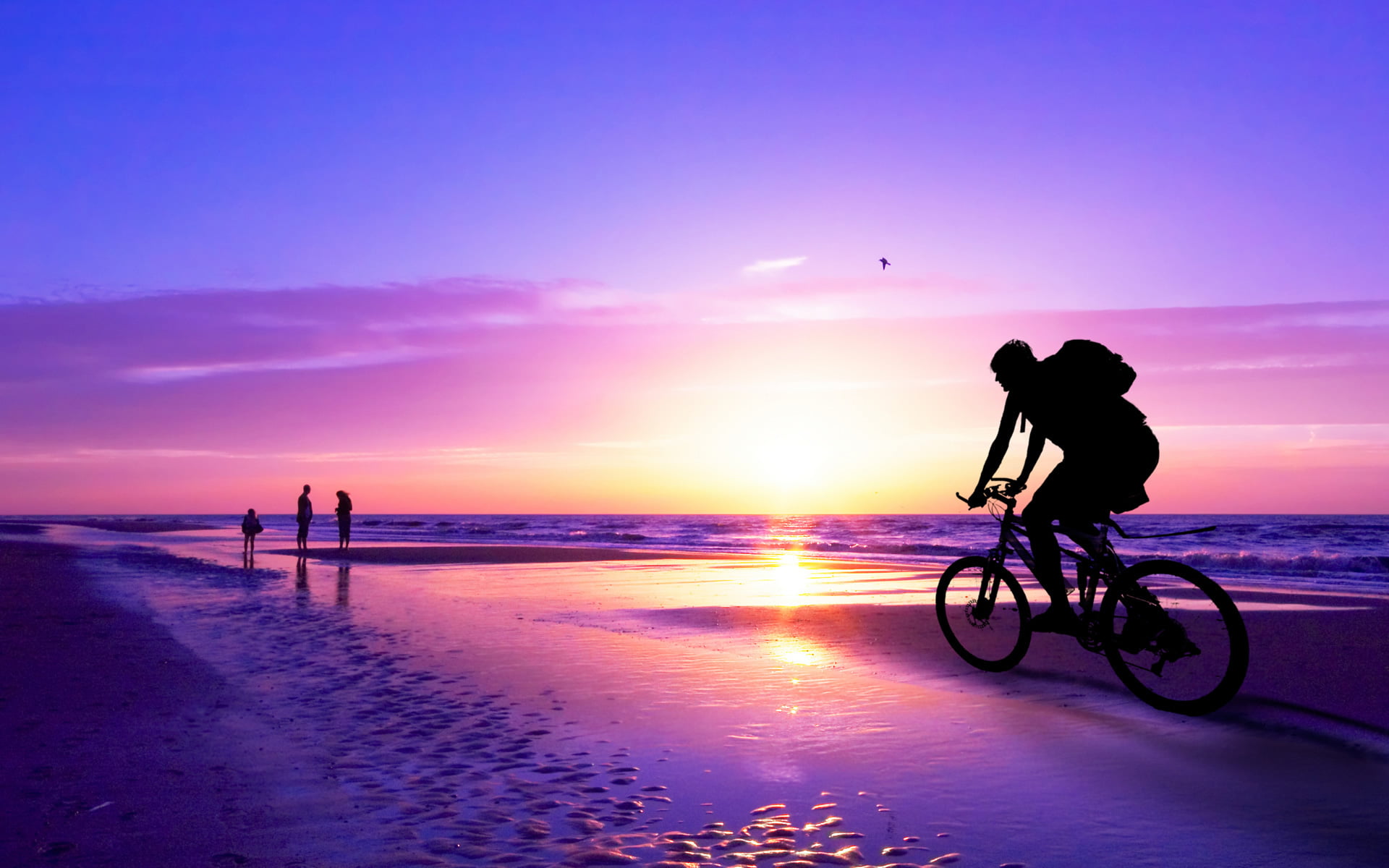 beauty in nature, real people, beach, Sports, land, sky, Bicycle, people, horizon over water, hardtail, outdoors, nature, scenics - nature, riding, horizon, HD Wallpaper