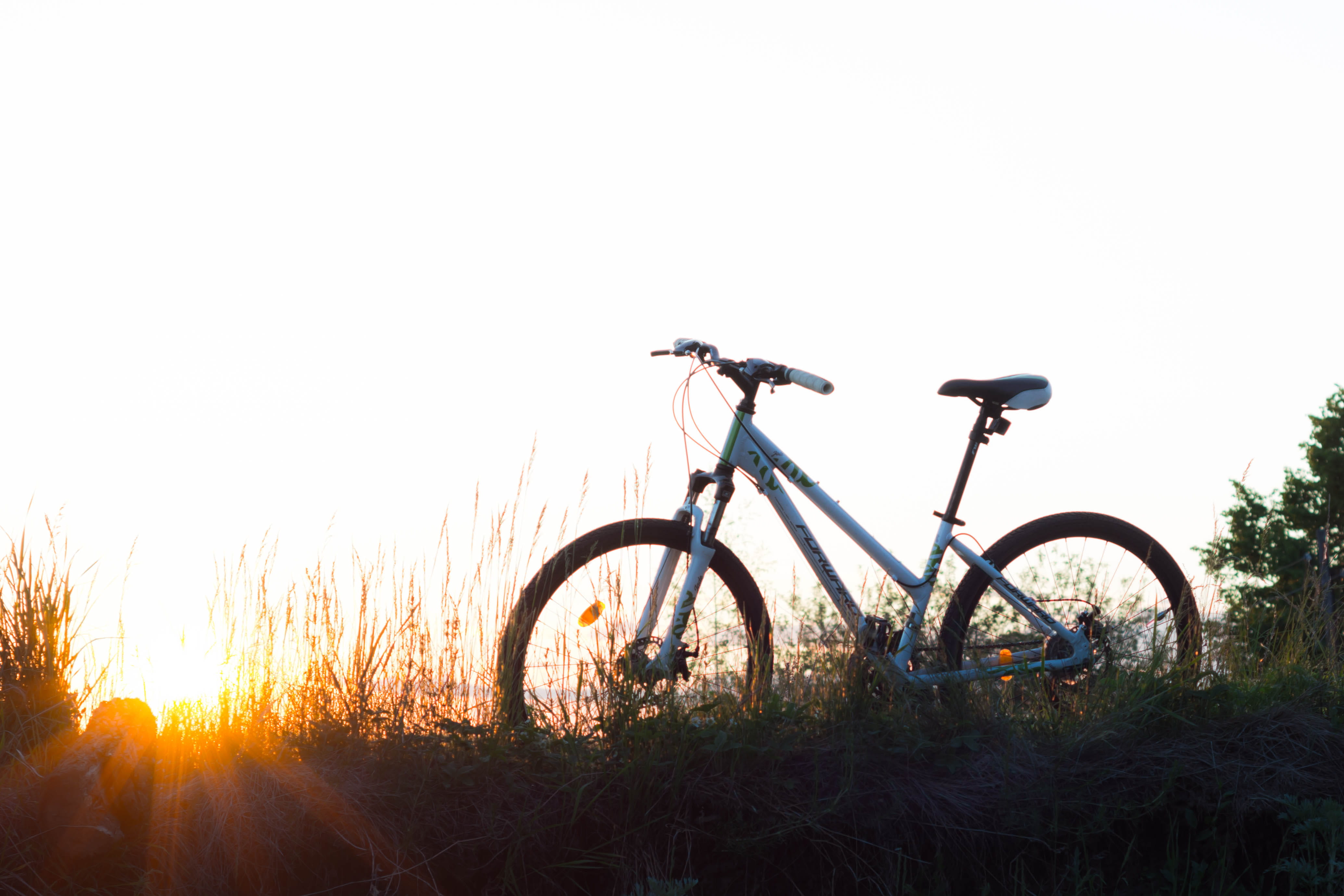 no people, wheel, day, field, road, teal, seated, copy space, activity, recreation, plant, clear sky, roll along, cycling, spring, mode of transportation, HD Wallpaper