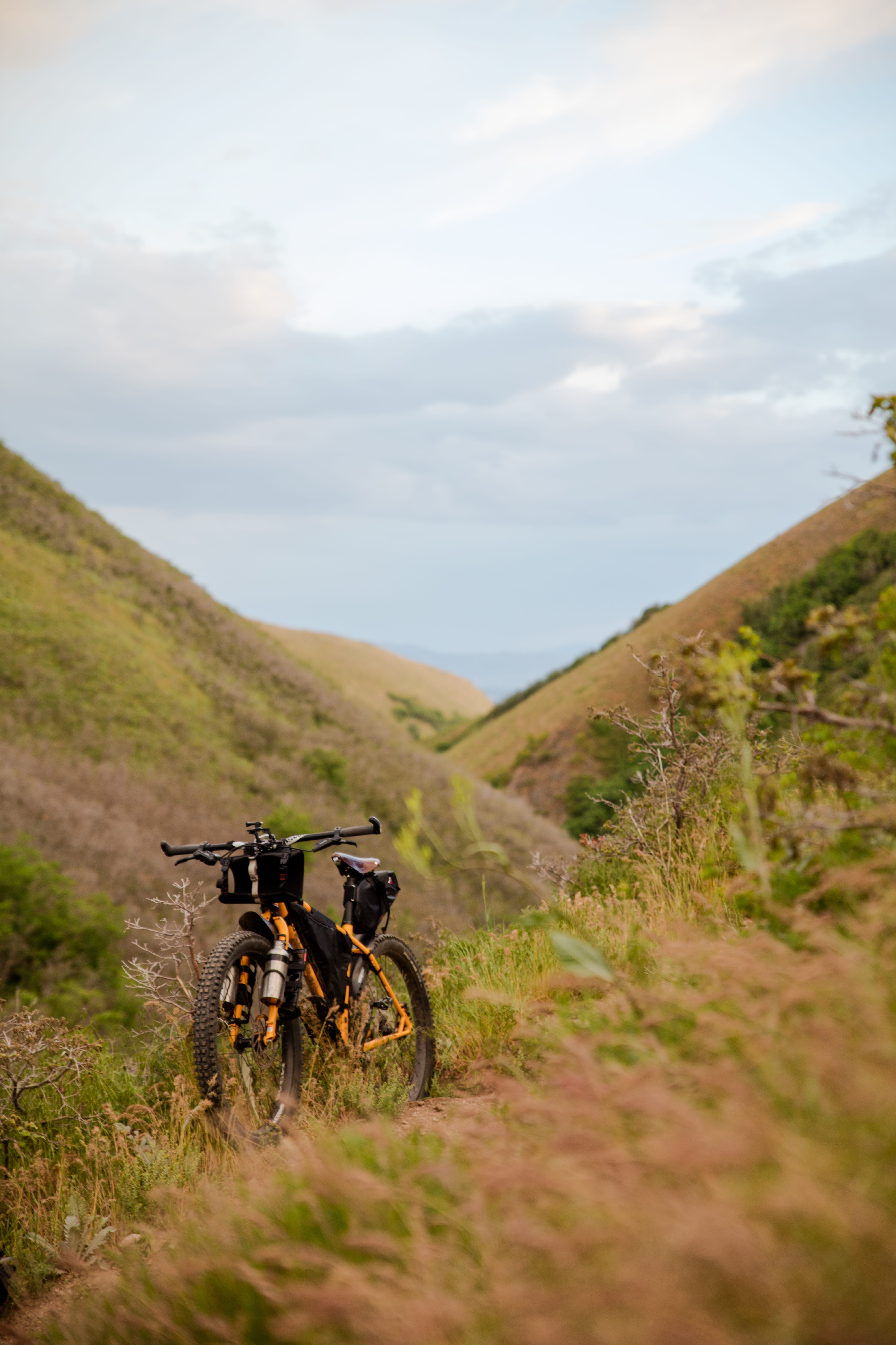 photo, day, cycling, plant, exercise, yellow, cloud - sky, tranquility, mountain, field, biking, adventure, land, outdoors, sports, black, mode of transportation, Phone HD Wallpaper