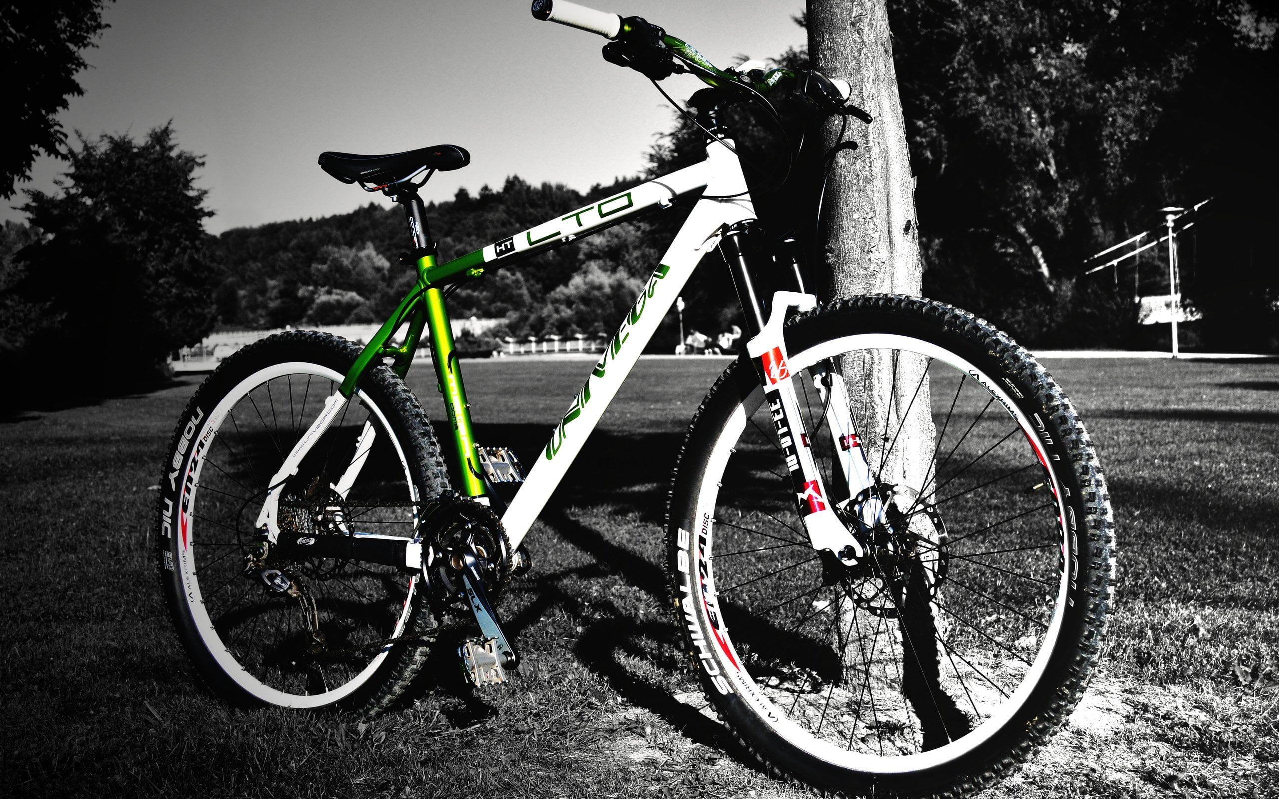 parking, plant, green, road, mode of transportation, cycle, cycling, recreational Pursuit, leisure Activity, 2K, wheel, no People, transportation, retro Styled, HD Wallpaper