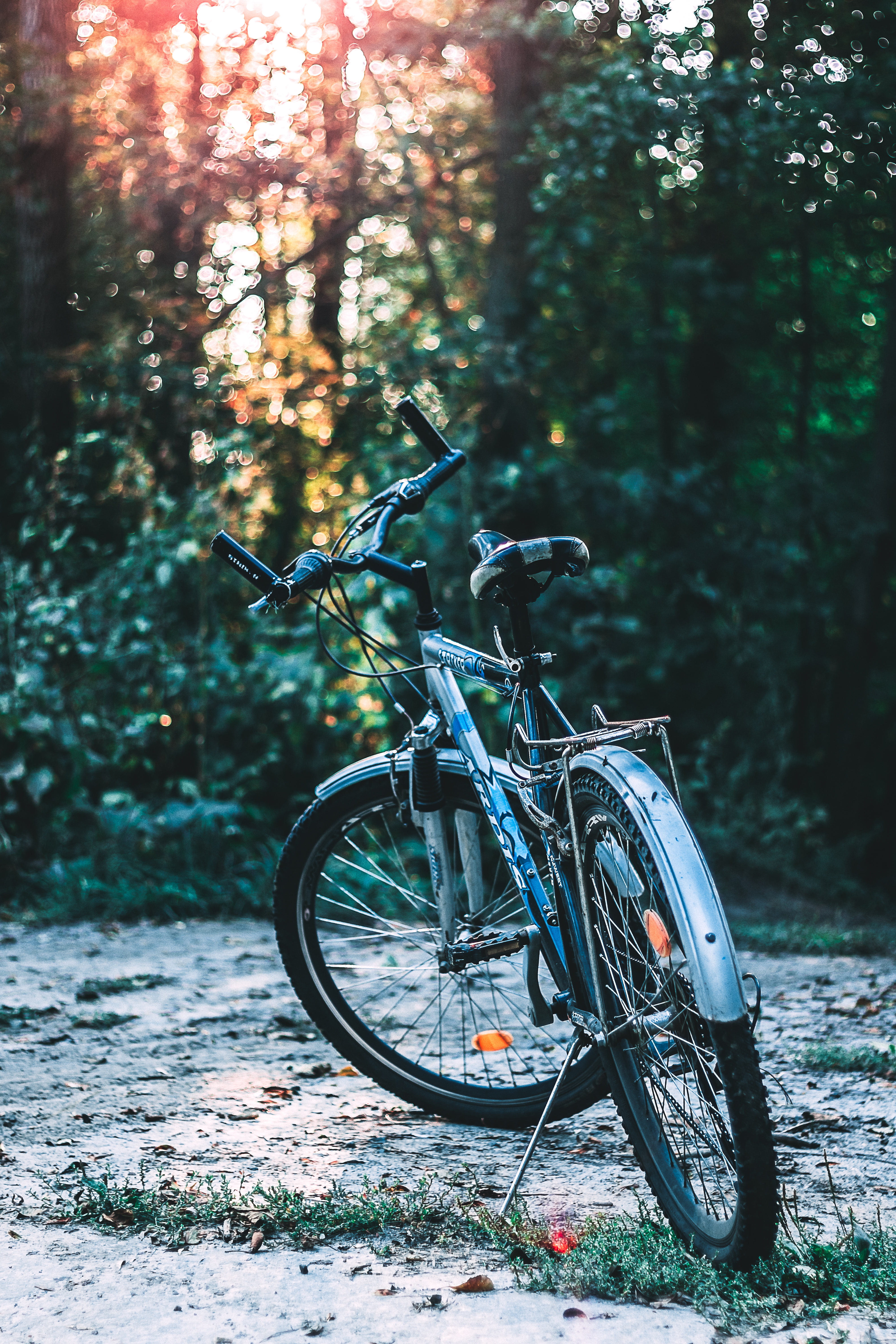 parking, bicycle, trees, mountain bike, stationary, sidewalk, transportation, 5K, growth, blue, leaf, nature, plants, parked, forest, land, green, near, Phone HD Wallpaper