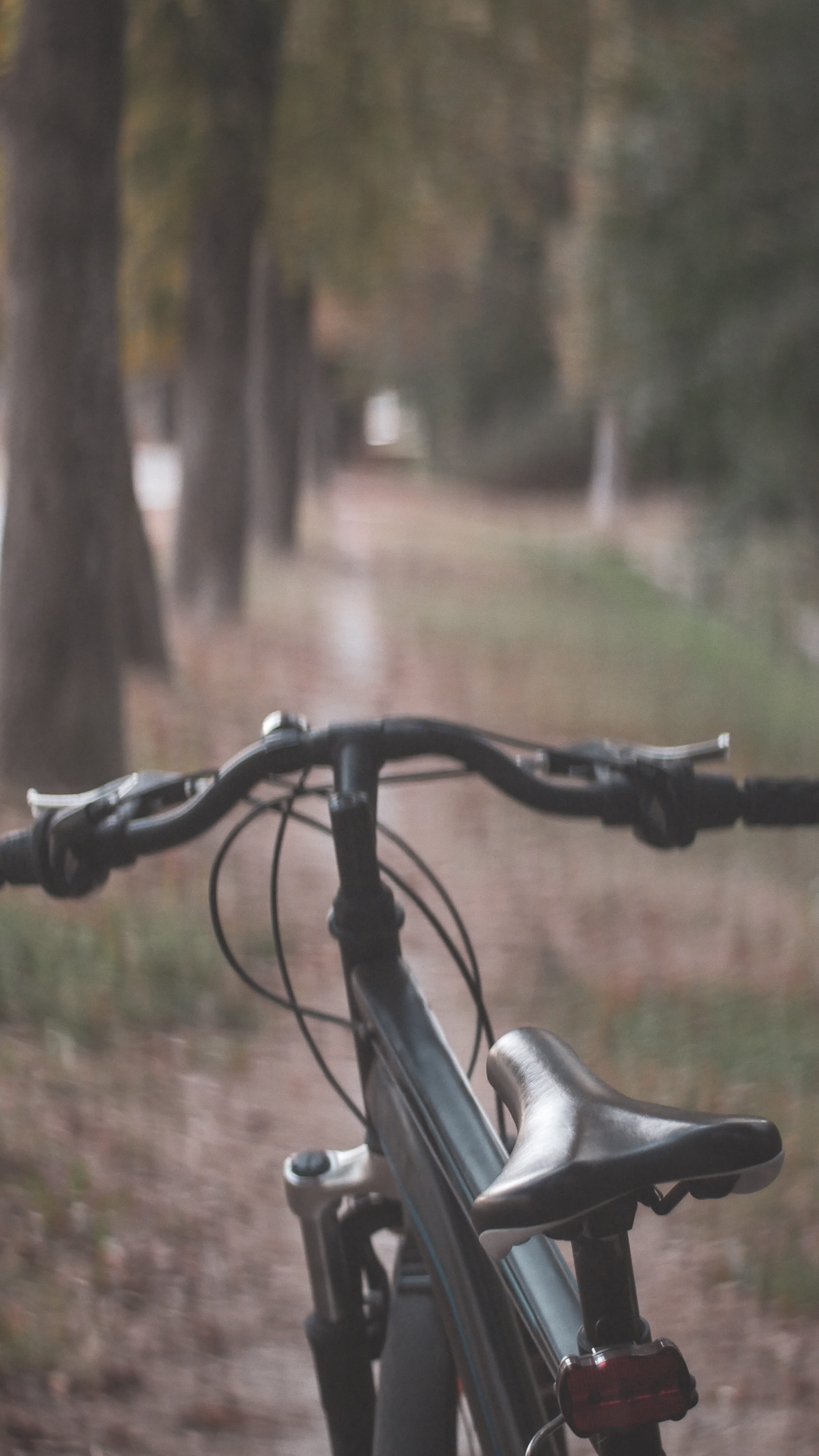 focus, selective, land, transportation, hardtail, bicycle, travel, day, no people, focus on foreground, metal, tree, plant, bike, photography, land vehicle, Phone HD Wallpaper