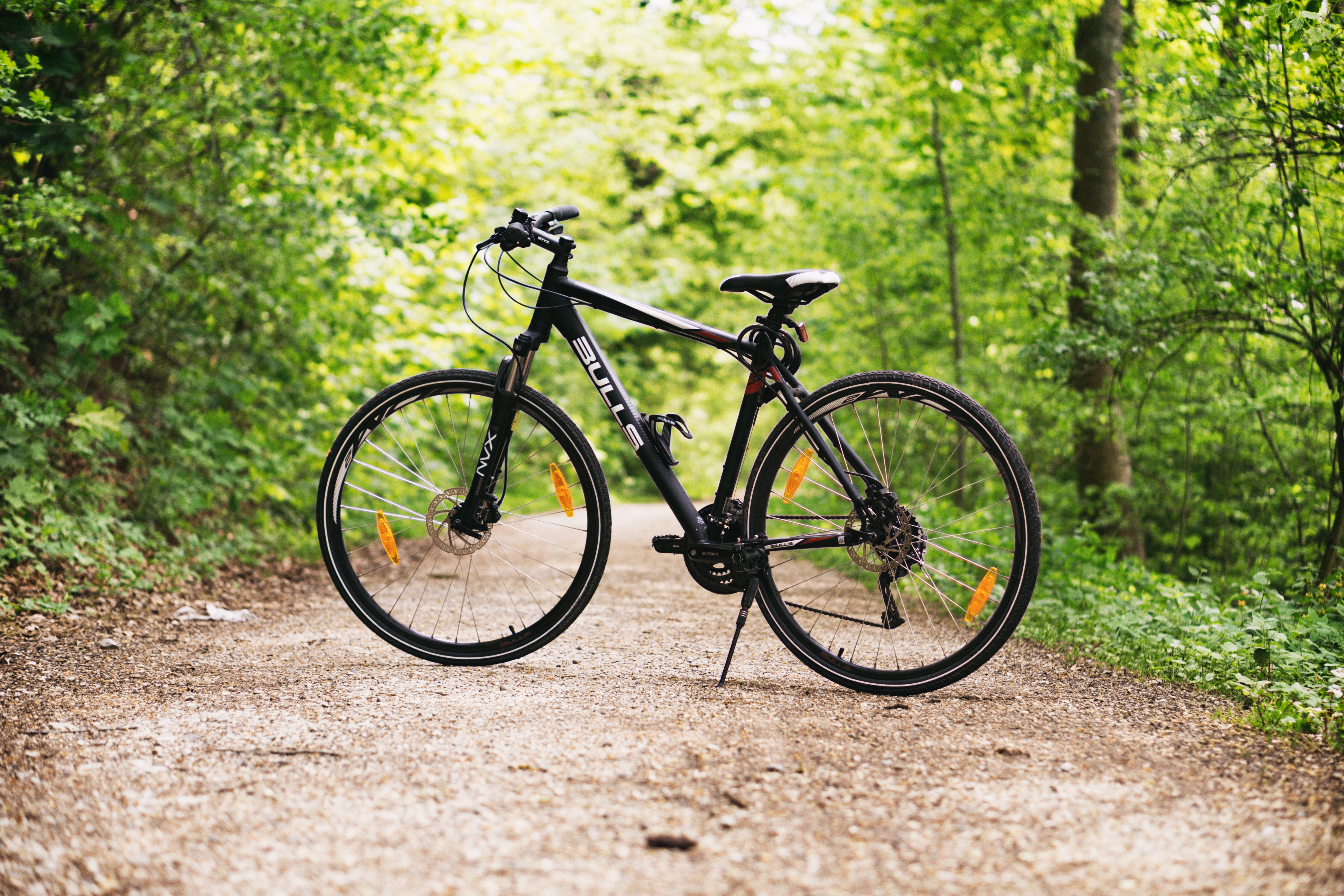 plant, transportation, outdoors, forest, land vehicle, white, growth, black, daylight, tree trunk, stationary, path, trunk, land, hardtail, nature, tree, HD Wallpaper