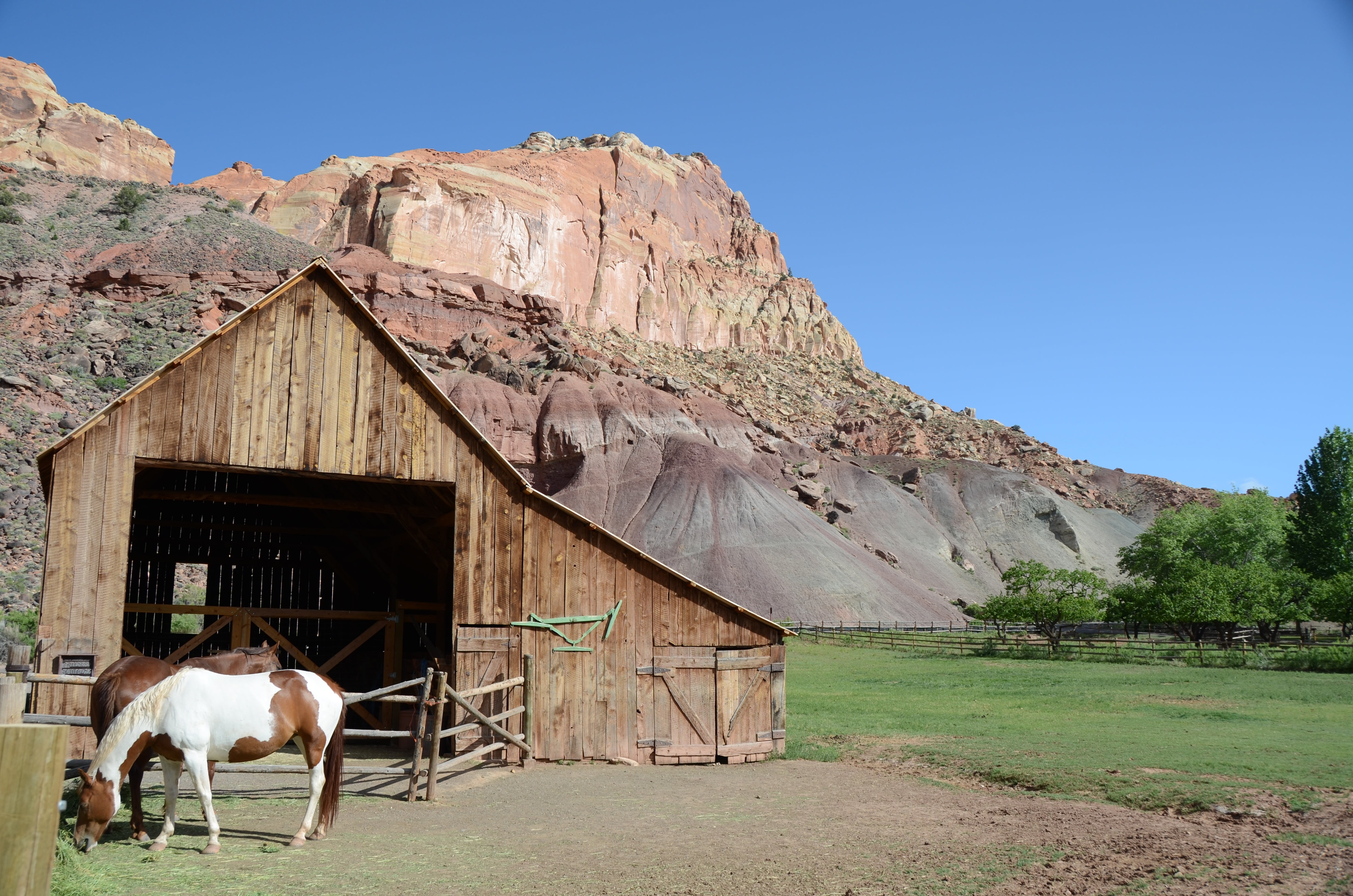 built structure, sky, horse, near, building exterior, the west, national park, plant, ranch, livestock, daytime, domestic, landscape, rural Scene, domestic animals, HD Wallpaper