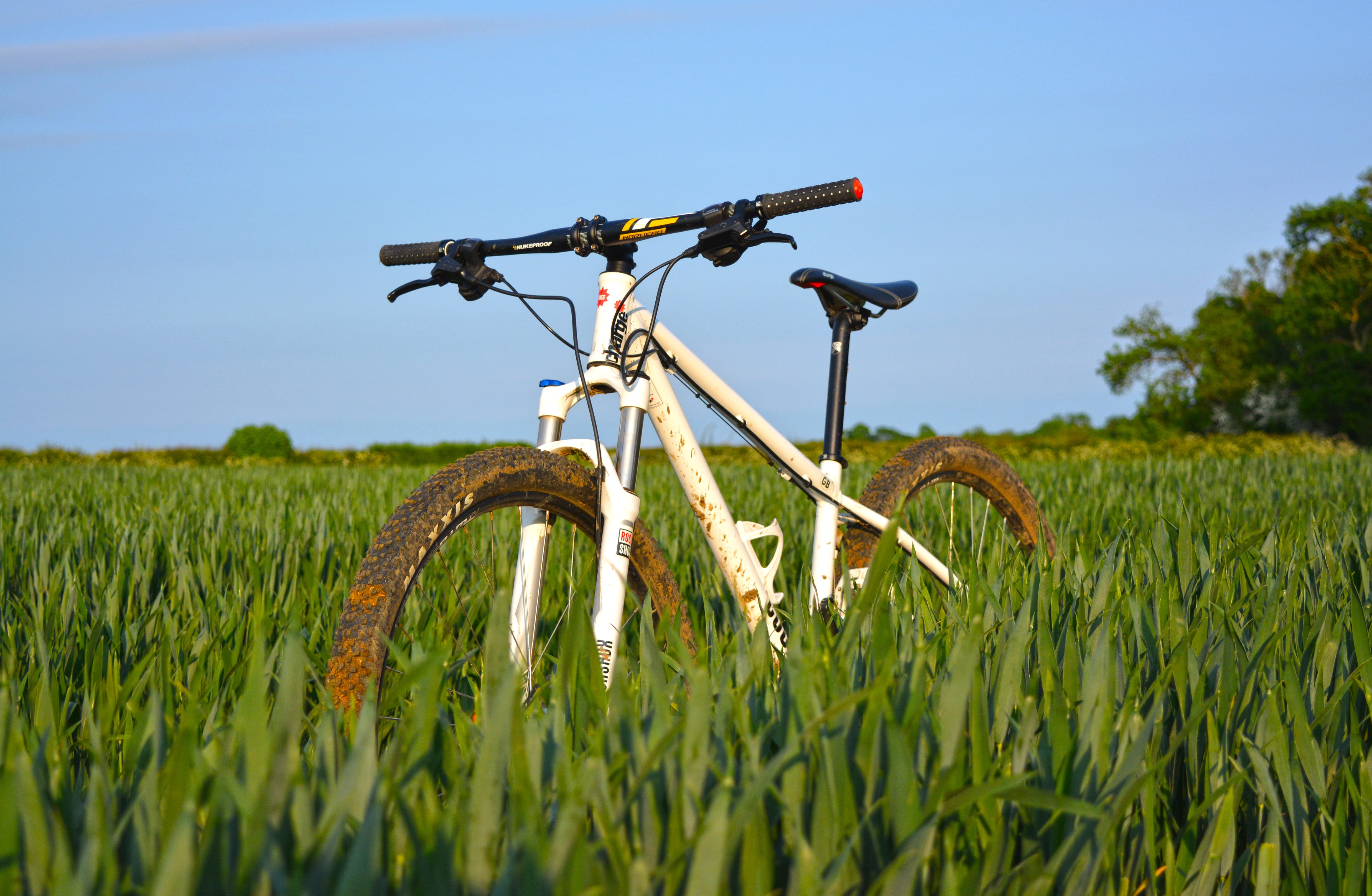 hardtail, flora, agriculture, field, white, machinery, environment, farm, vehicle, landscape, day, outdoors, no people, nature, sky, grass, vegetable, bike, HD Wallpaper