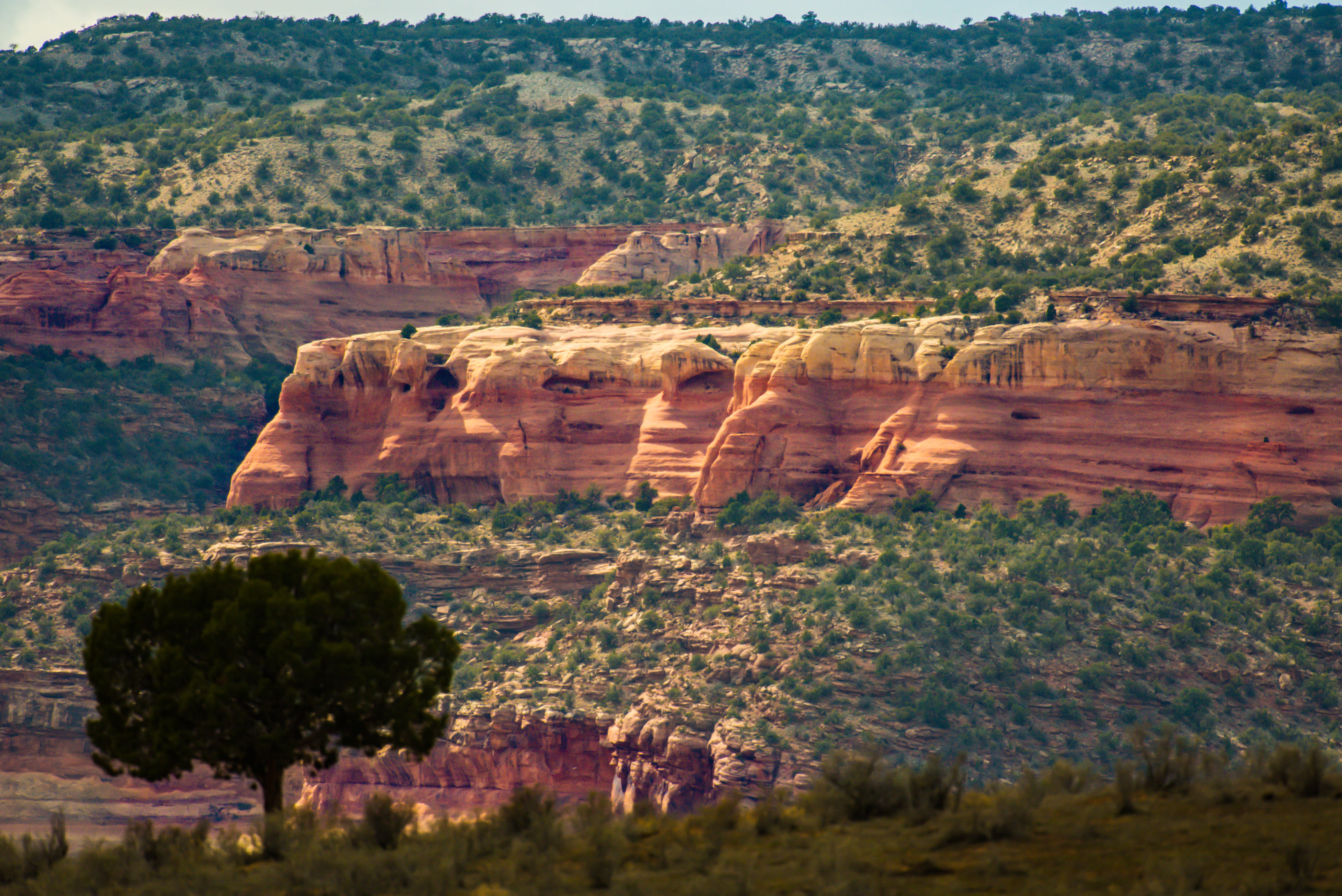 united states, canyons, trees, tranquil scene, tree, colors, outdoors, tan, no people, landscape, tranquility, geology, non-urban scene, land, alone, 5K, HD Wallpaper