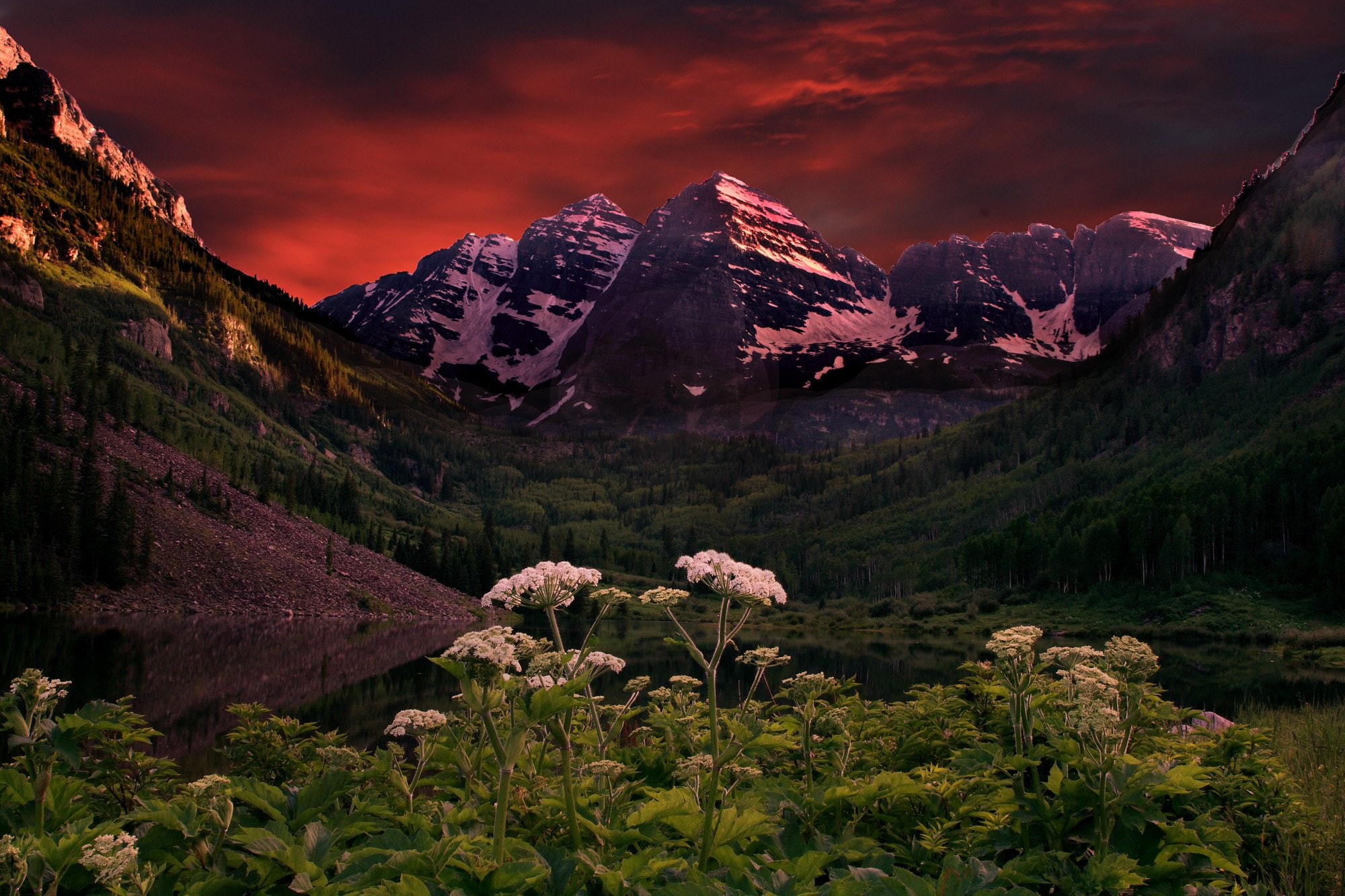 flowers, forest, reflection, sunset, maroon, lake, bells, 1080P, clouds, colorado, mountains, HD Wallpaper