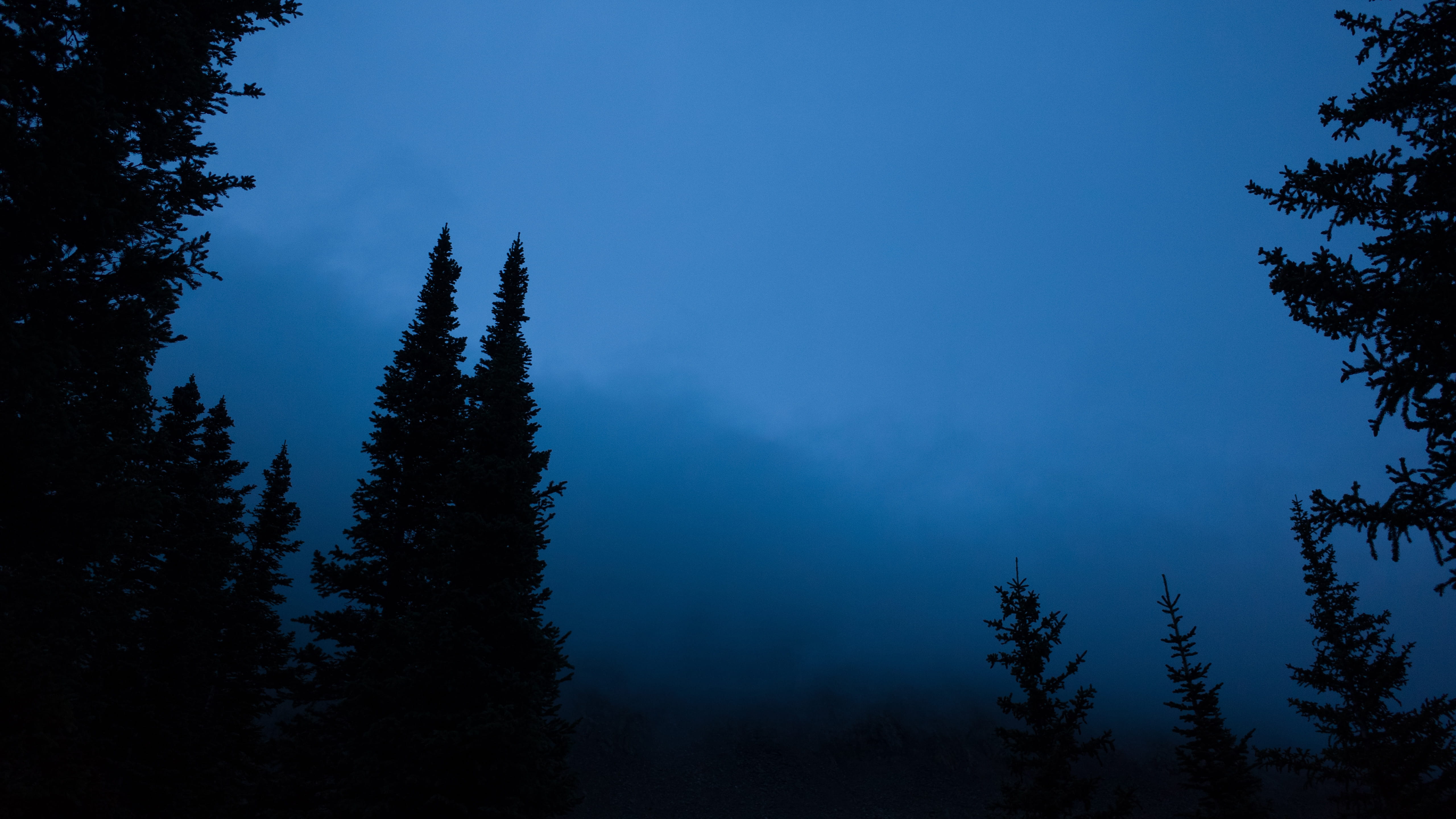 tranquil scene, united states, colorado, no people, trees, pine tree, tranquility, camping, blue, quandary peak, land, 5K, non-urban scene, gradient, coniferous tree, HD Wallpaper