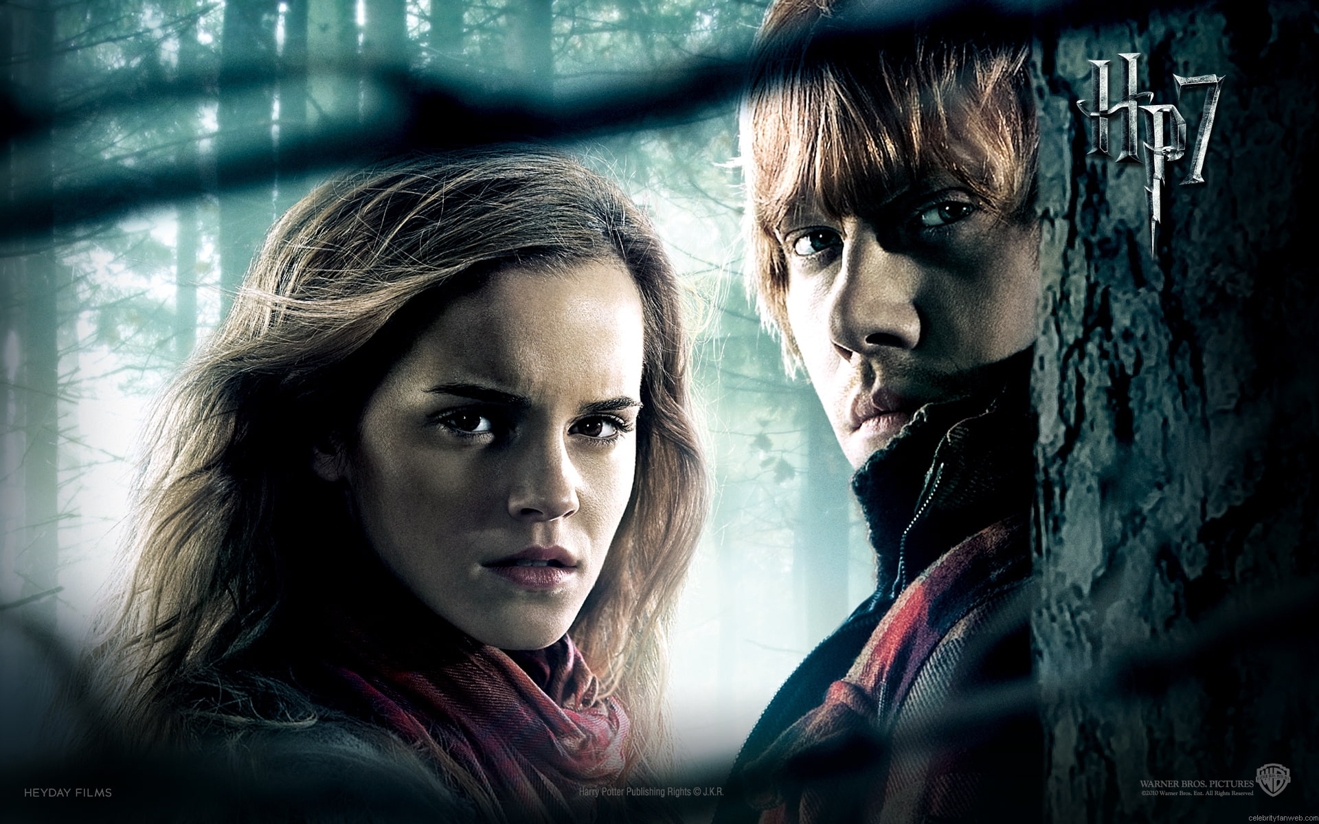 hd, 1080P, potter, movies, poster, harry, hp, HD Wallpaper