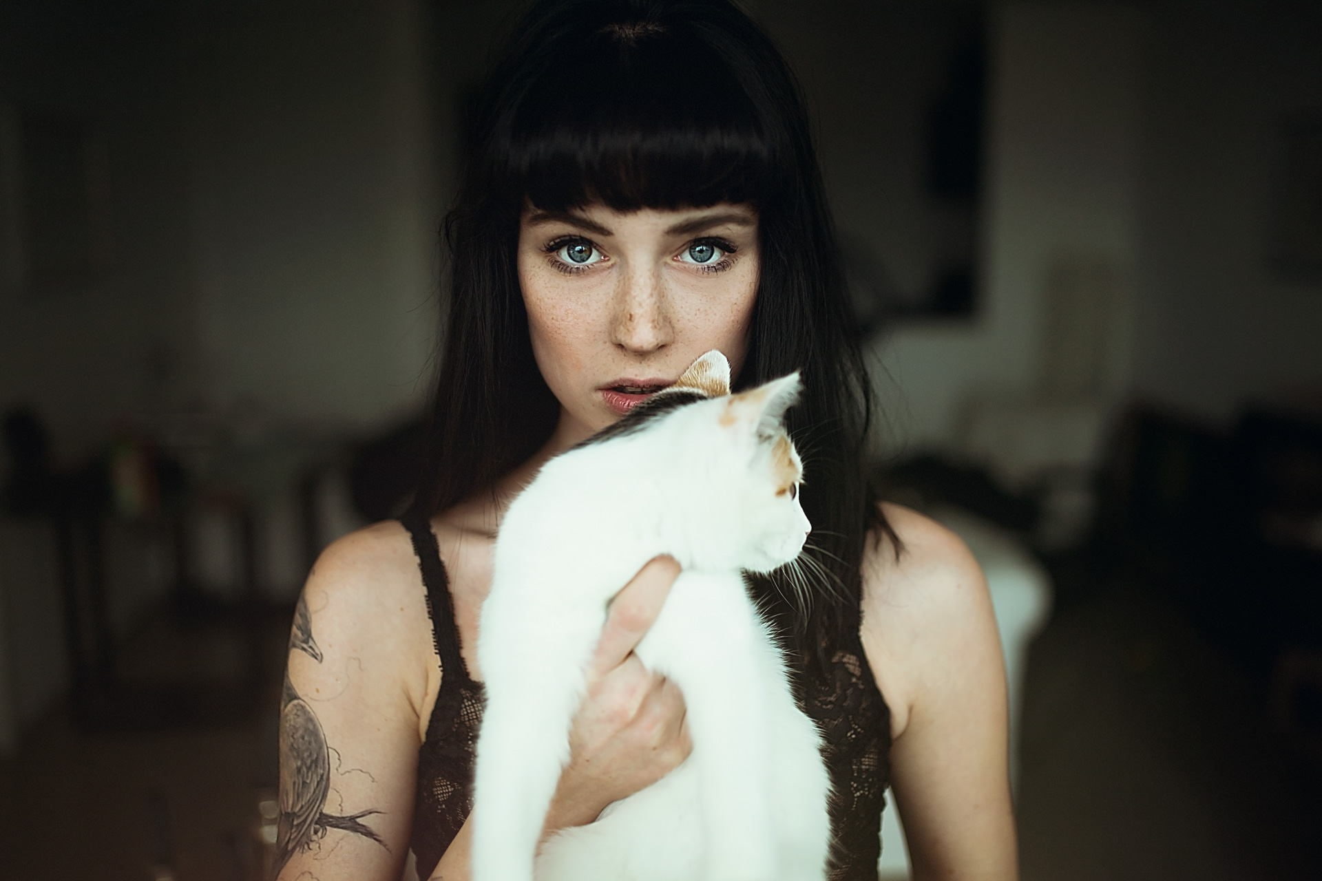 blue eyes, animals, black hair, Scarlett Simoneit, 1080P, cat, model, tattoo, women, freckles, André Josselin, looking at viewer, HD Wallpaper