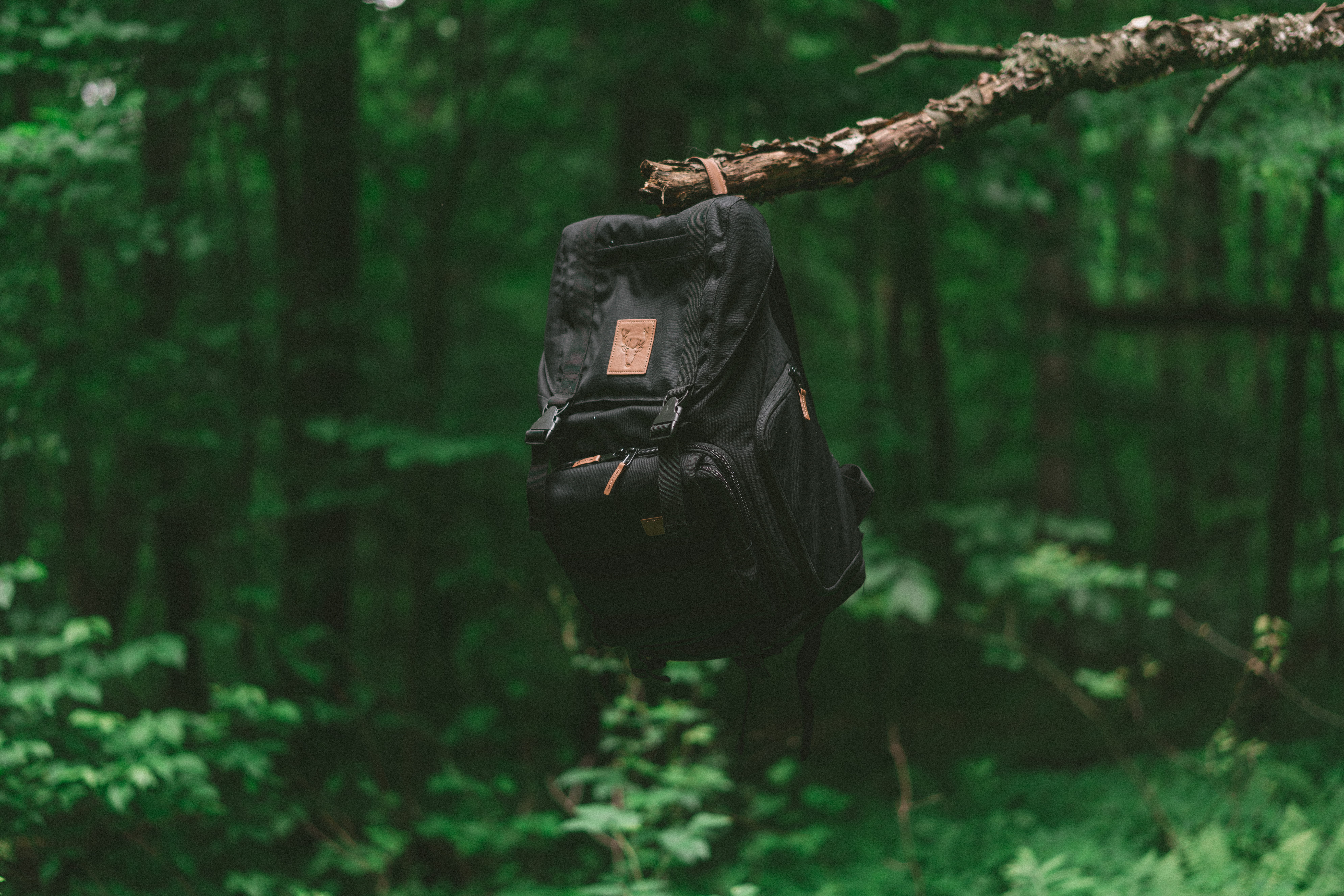 bag, black, communication, wood, equipment, tranquility, brown, grow, hang, 8K, backpack, set up, selective, technology, land, stick, focus on foreground, HD Wallpaper