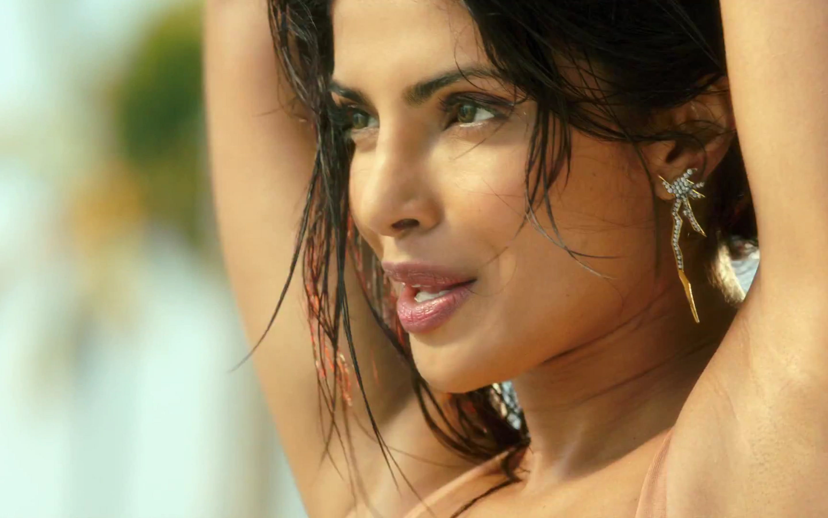 exotic, saree, Cool, pitbull, 2K, 1920x1080priyanka chopra, kumar, background, celebri, HD Wallpaper