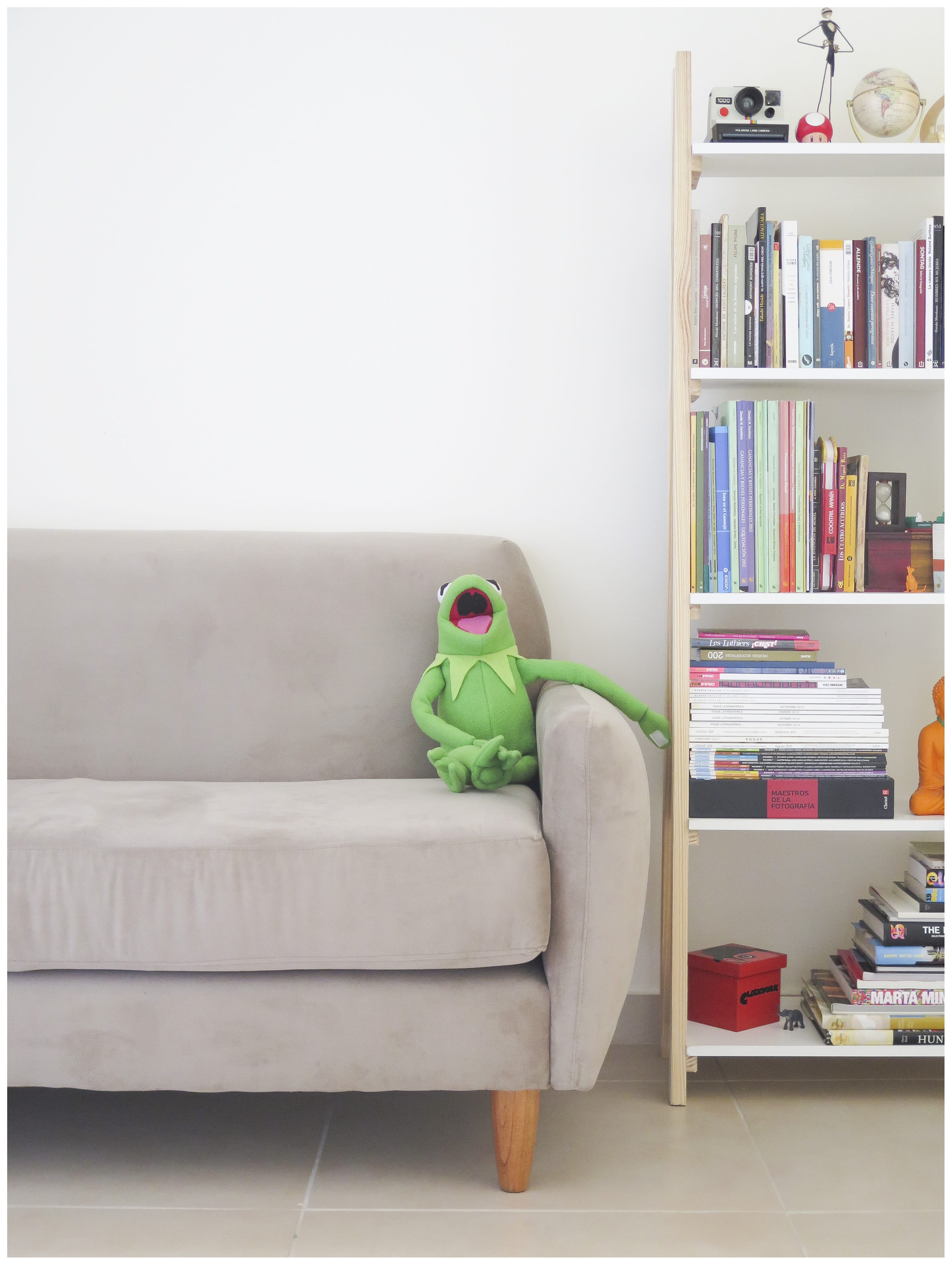 4K, home, living room, green, home showcase interior, bookshelf, sofa, shelf, domestic room, relaxation, flooring, kermit, green color, no people, home interior, Phone HD Wallpaper