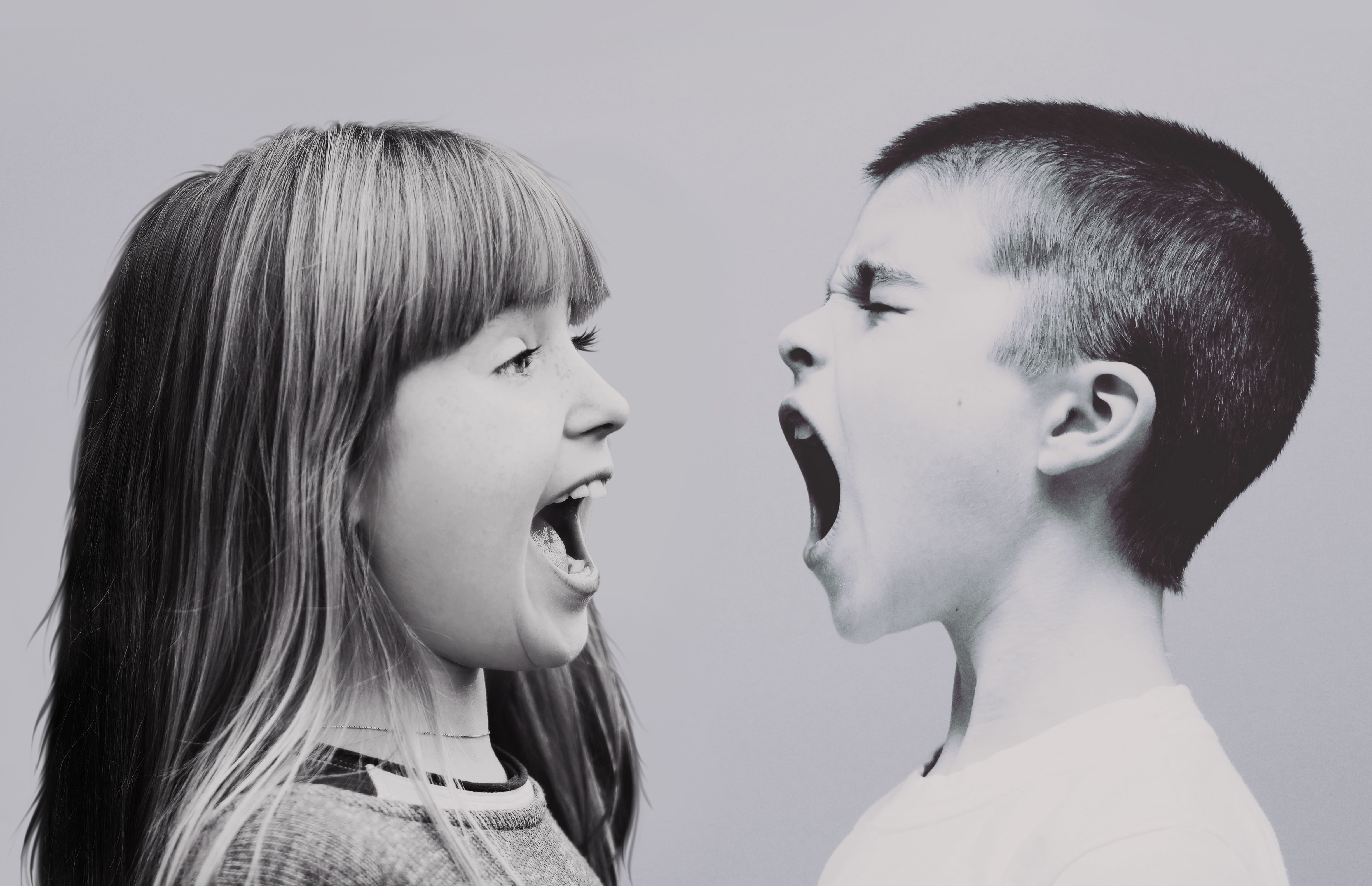 brothers and sisters, people, portrait, studio shot, rage, discussion, emotion, cry, childrens education, family, argue, human, education, two people, young adult, HD Wallpaper