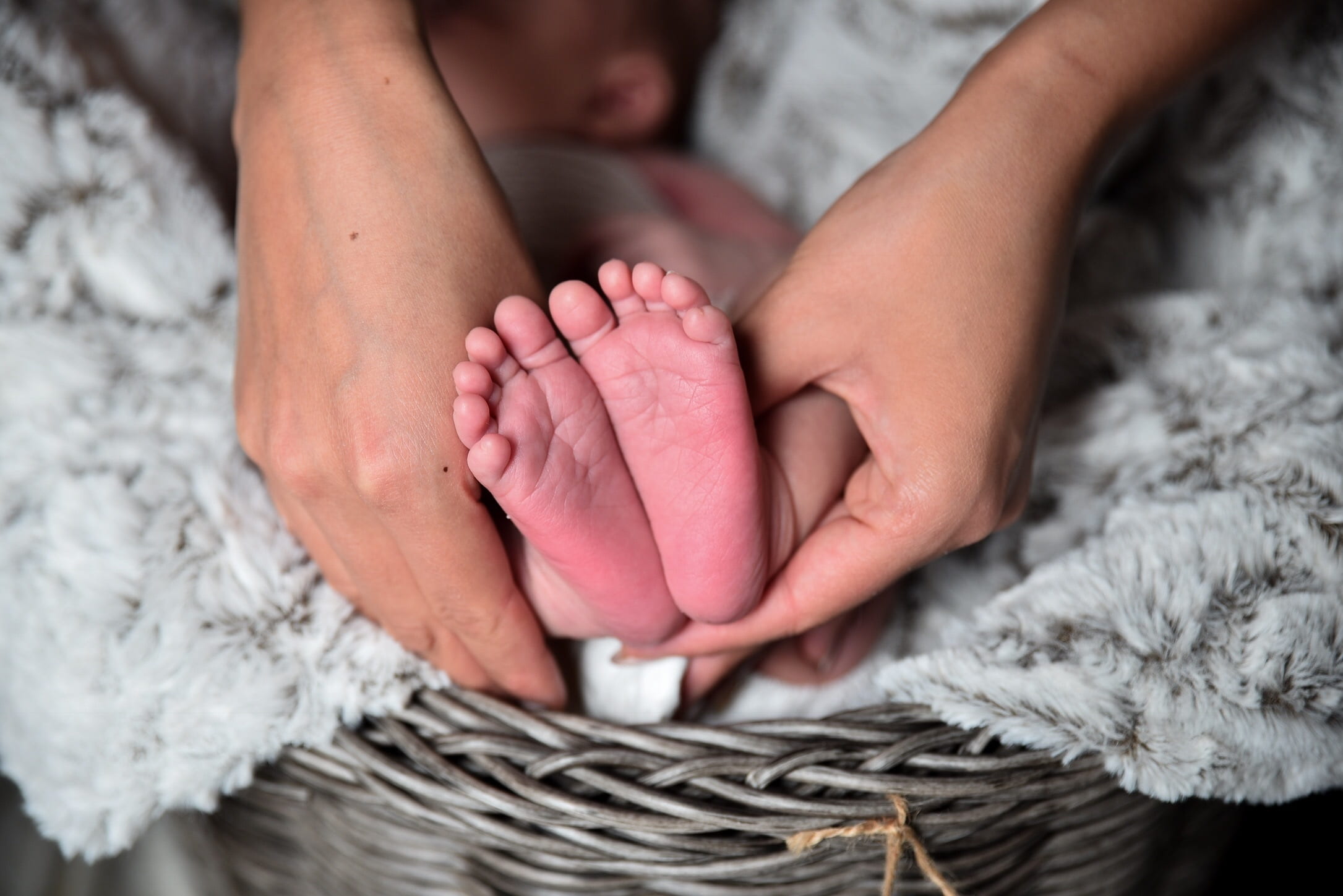 barefoot, tiny, newborn, human hand, born, hold, parenthood, caucasian, softness, foot, human foot, mom, parent, person, toes, love, adult, hand, close-up, HD Wallpaper