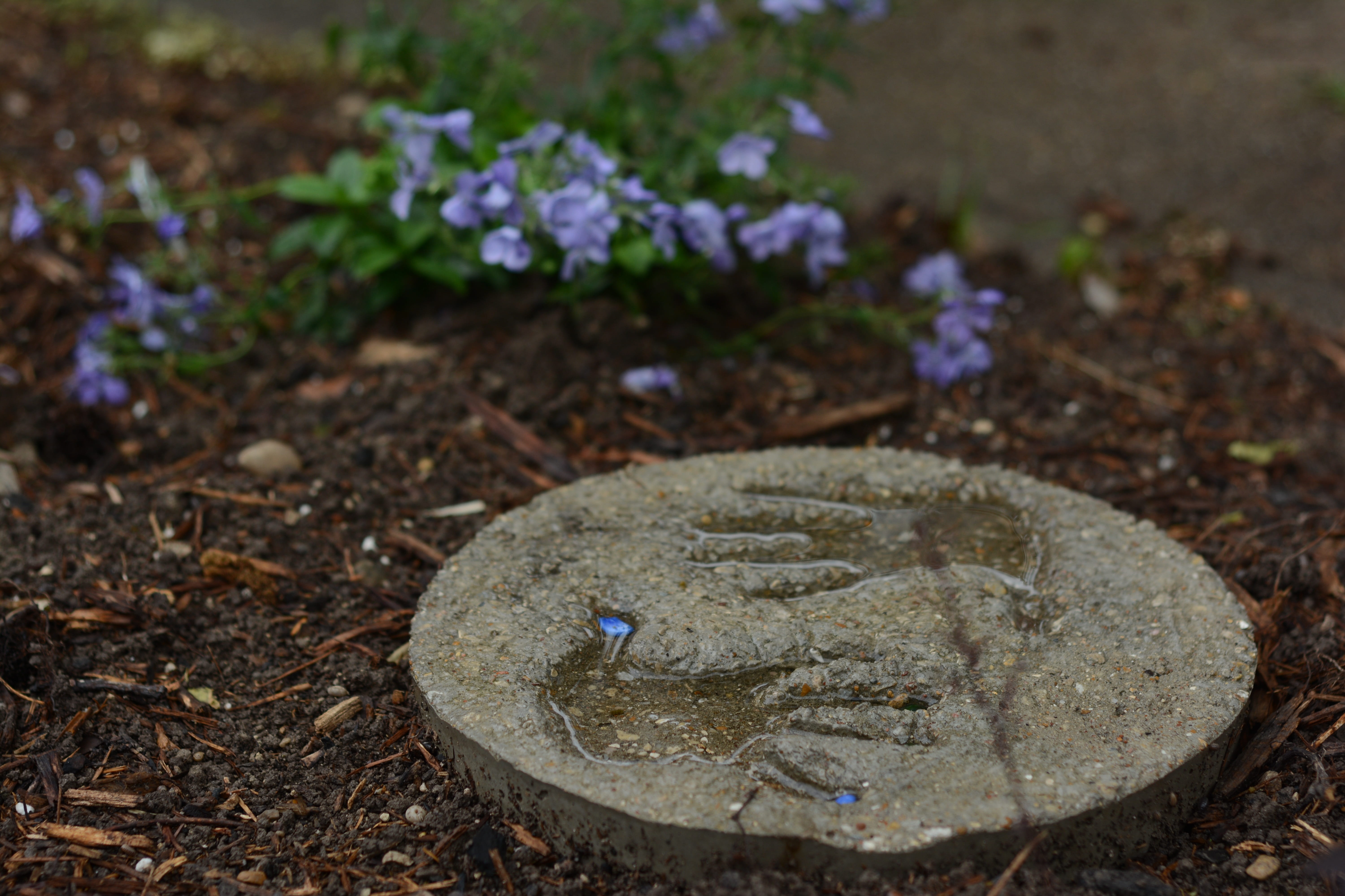 flowers, dirt, pollution, cement, love, decor, neighborhood, field, stepping stone, shape, solid, son, metal, flower, gray, handprint, rock, nature, puddle, HD Wallpaper