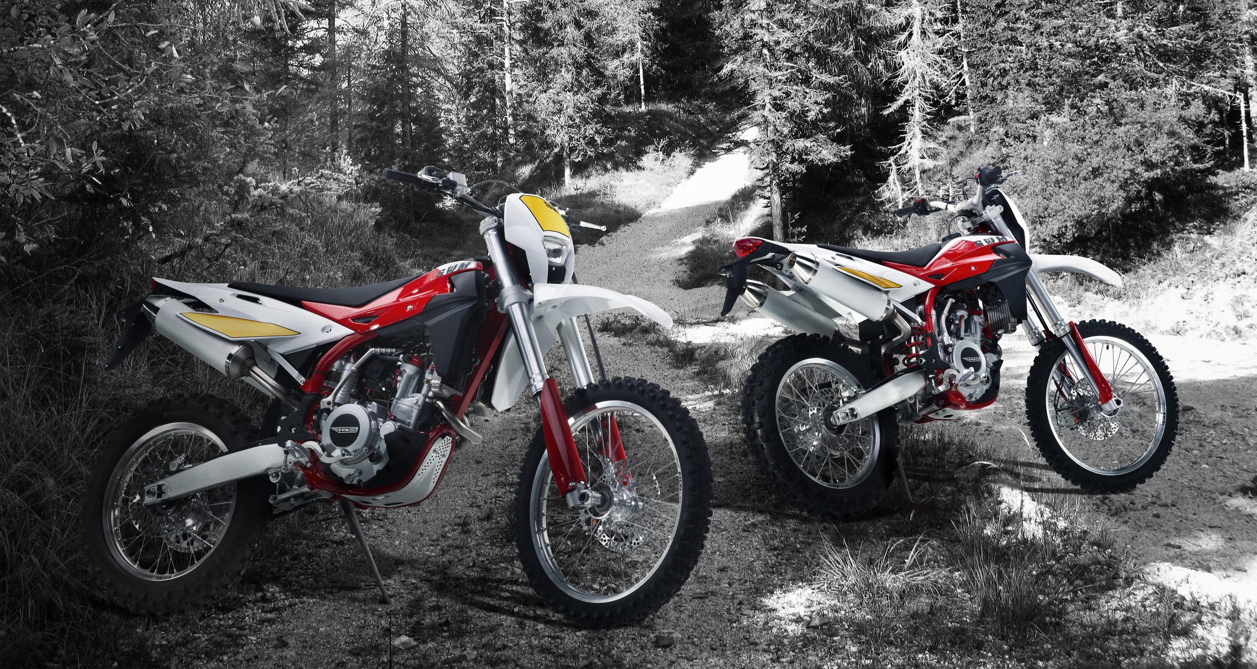 tree, land, outdoors, transportation, plant, best motorcycle, sport bikes, real people, stationary, land vehicle, sport, day, nature, adventure, extreme sports, HD Wallpaper