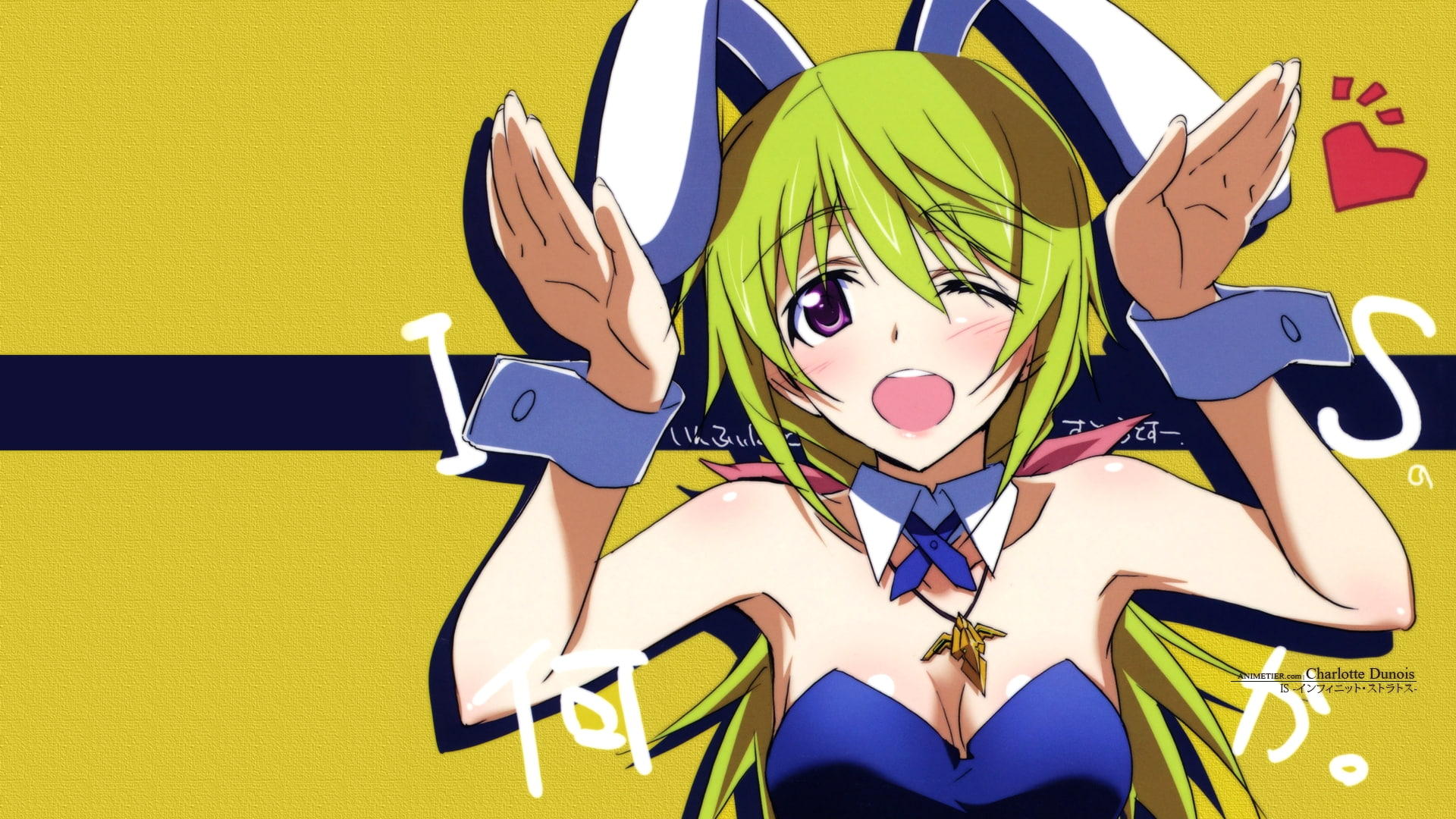 infinite, charlotte, 1080P, bunny, ears, dunois, bunnygirl, stratos, HD Wallpaper