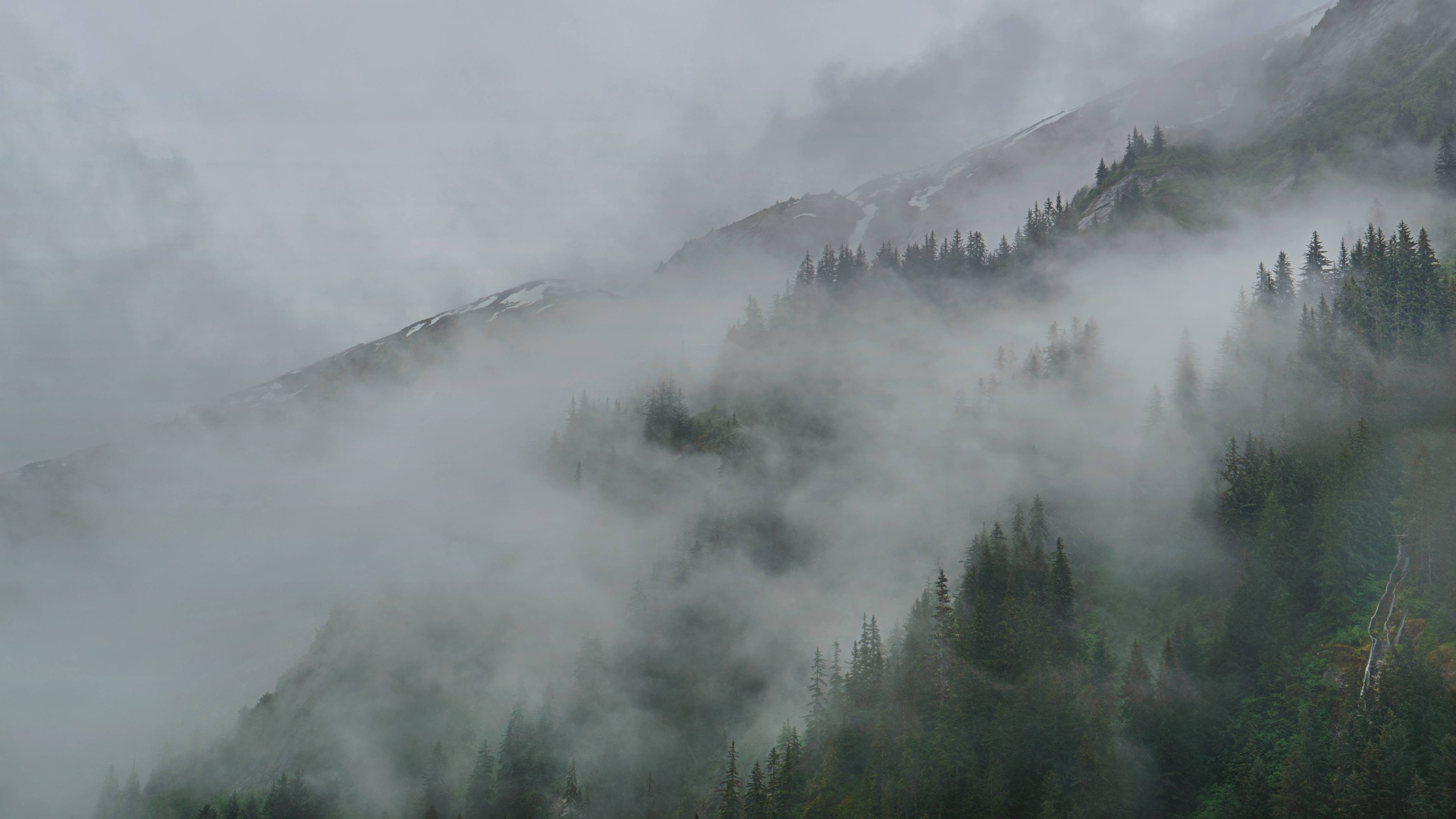 forest, mountain range, non-urban scene, coniferous tree, nature, tree, tranquility, pine tree, no people, outdoors, clouds, Alaska, scenics - nature, trees, HD Wallpaper