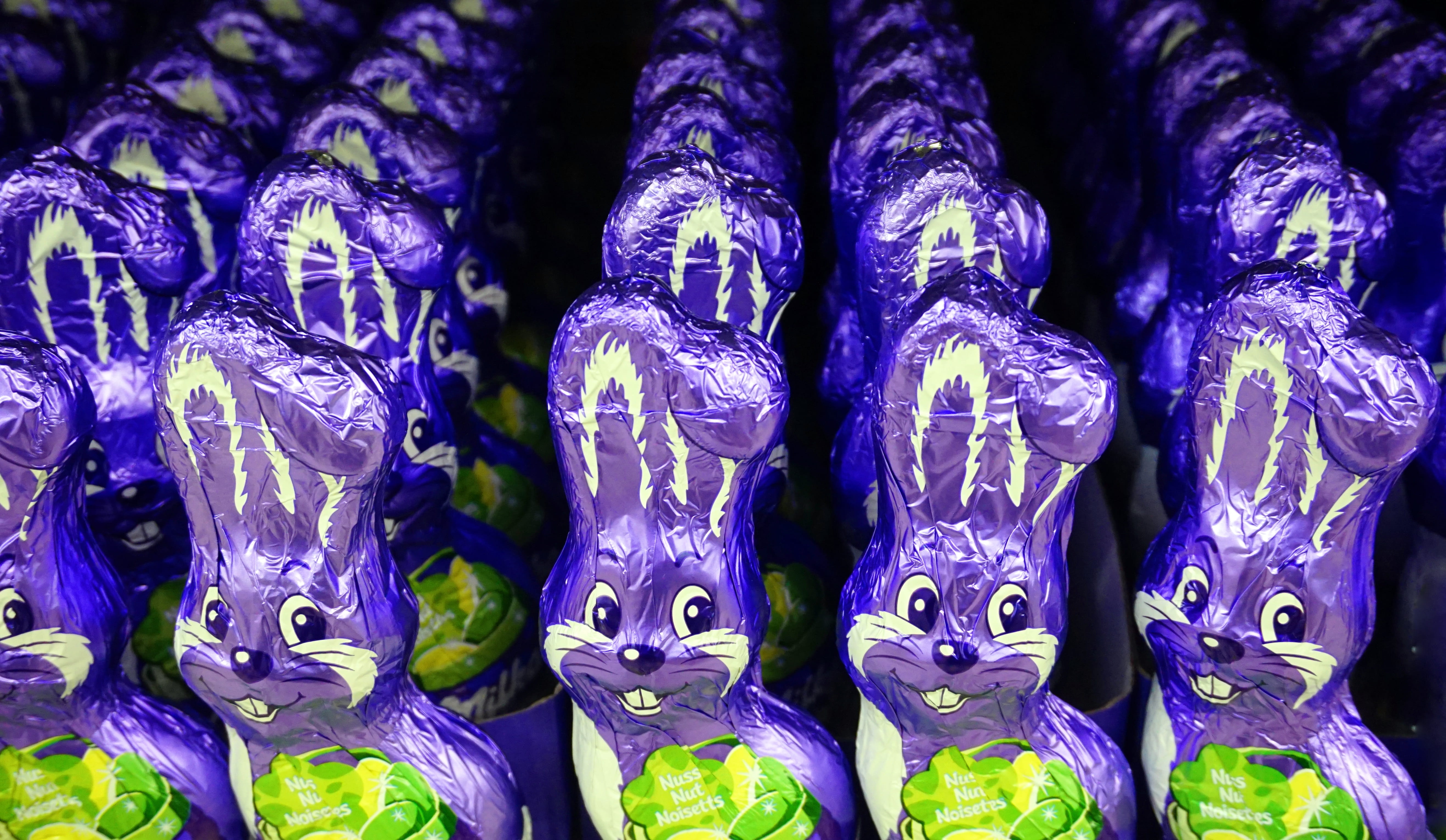 easter bunny, no people, in a row, retail, arrangement, still life, side by side, full frame, market, 5K, representation, blue, order, for sale, candy, HD Wallpaper