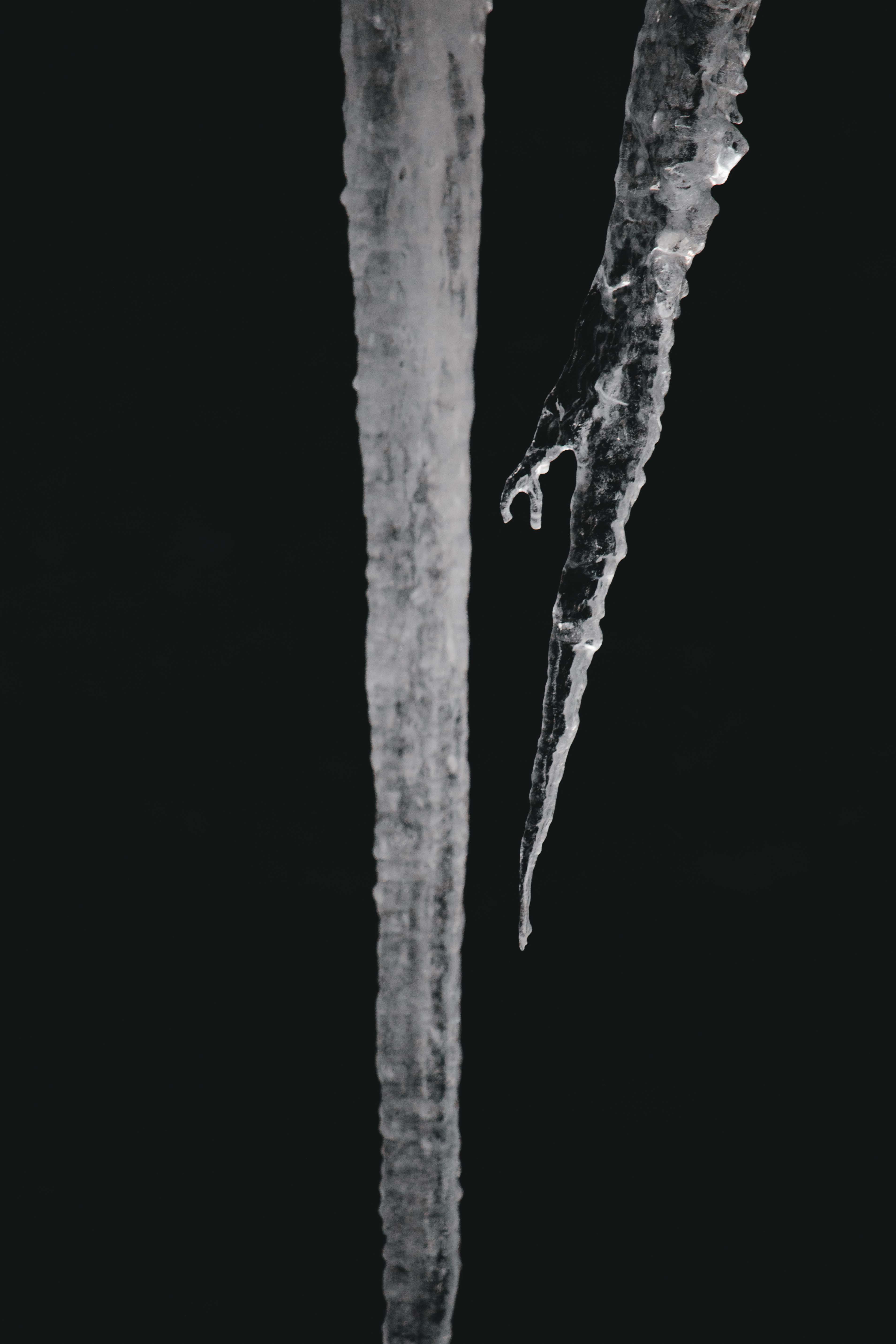 close-up, copy space, christmas, icicle, new year, sharp, black background, tracy city, cold temperature, fiery gizzard road, dark, tranquility, united states, Phone HD Wallpaper