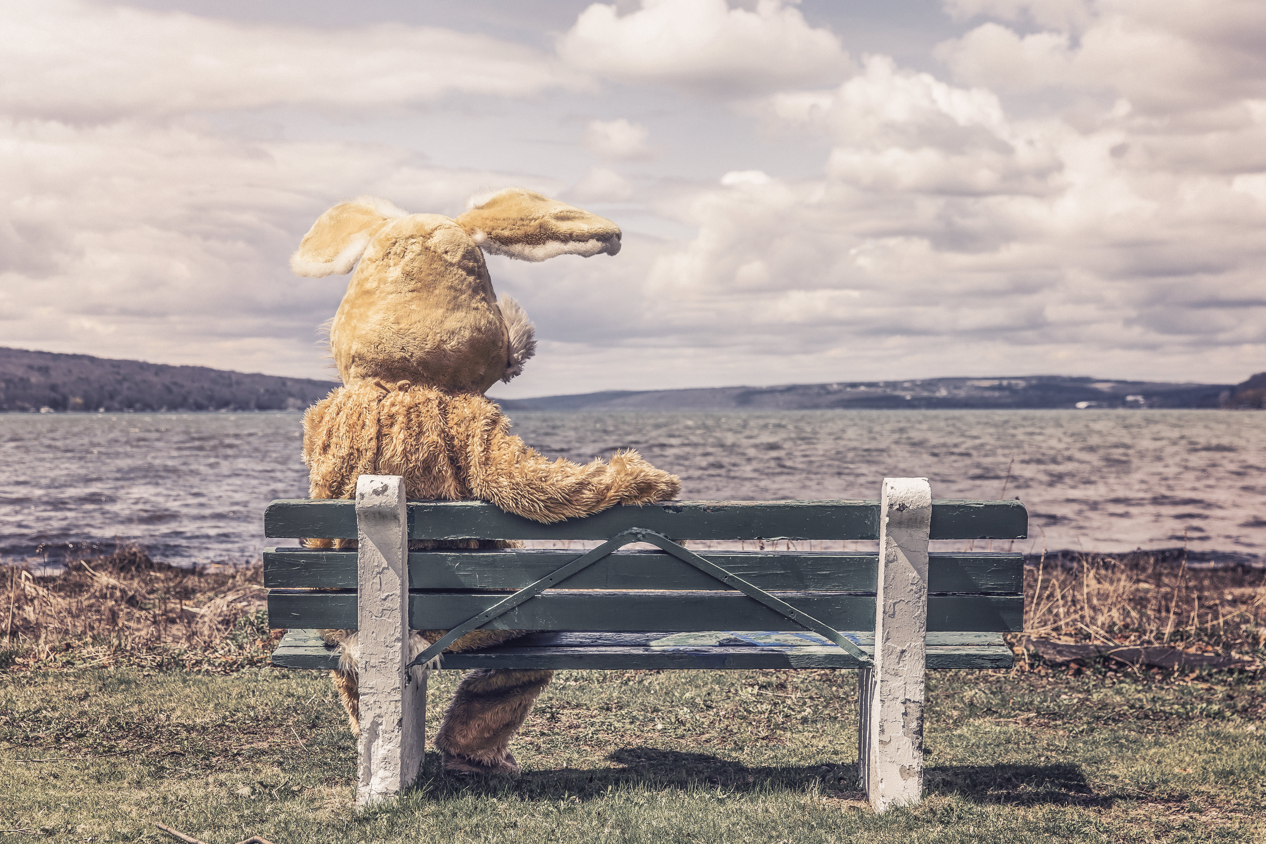 brown, non-urban scene, stuffed toy, suit, bear, tranquility, beach, river, autumn, no People, seat, grass, shade, tranquil scene, costume, summer, wood - Material, HD Wallpaper