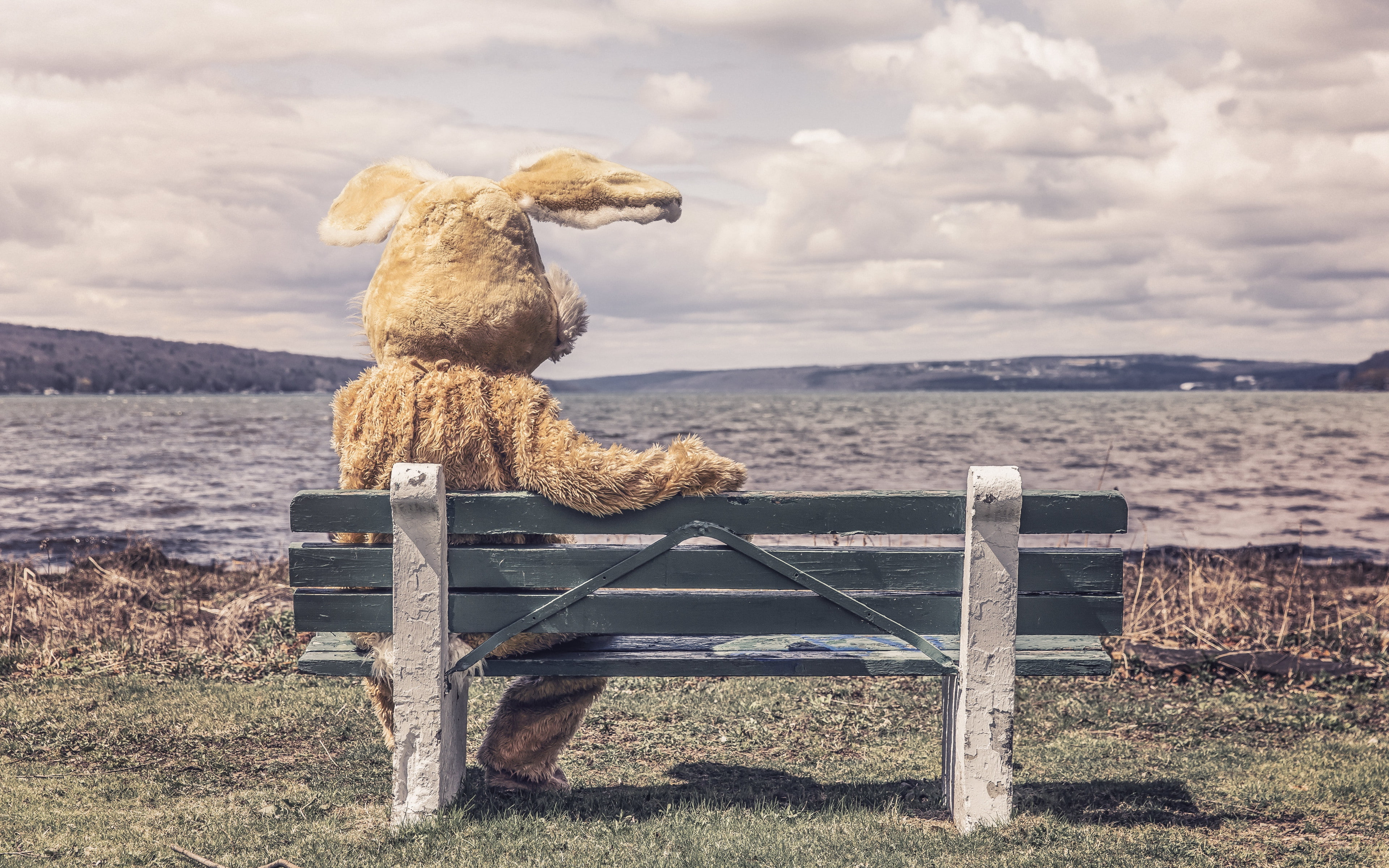 river, suit backgrounds, 4K, bench, bunny, shade, HD Wallpaper