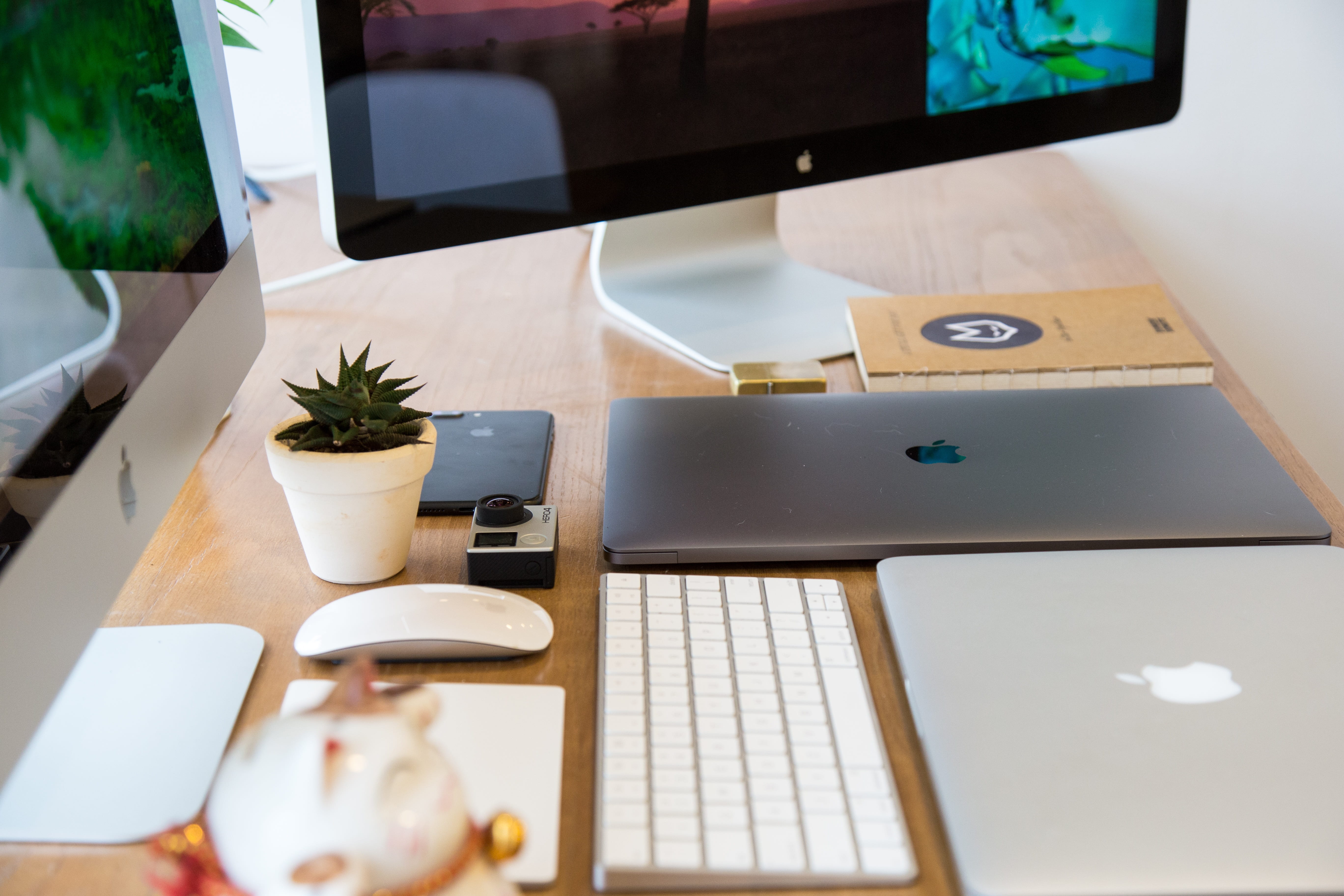 work, technology, laptop, plant, mouse, 5K, chair, cup, mug, research, still life, coffee cup, communication, indoors, computer, mac, connection, near, HD Wallpaper