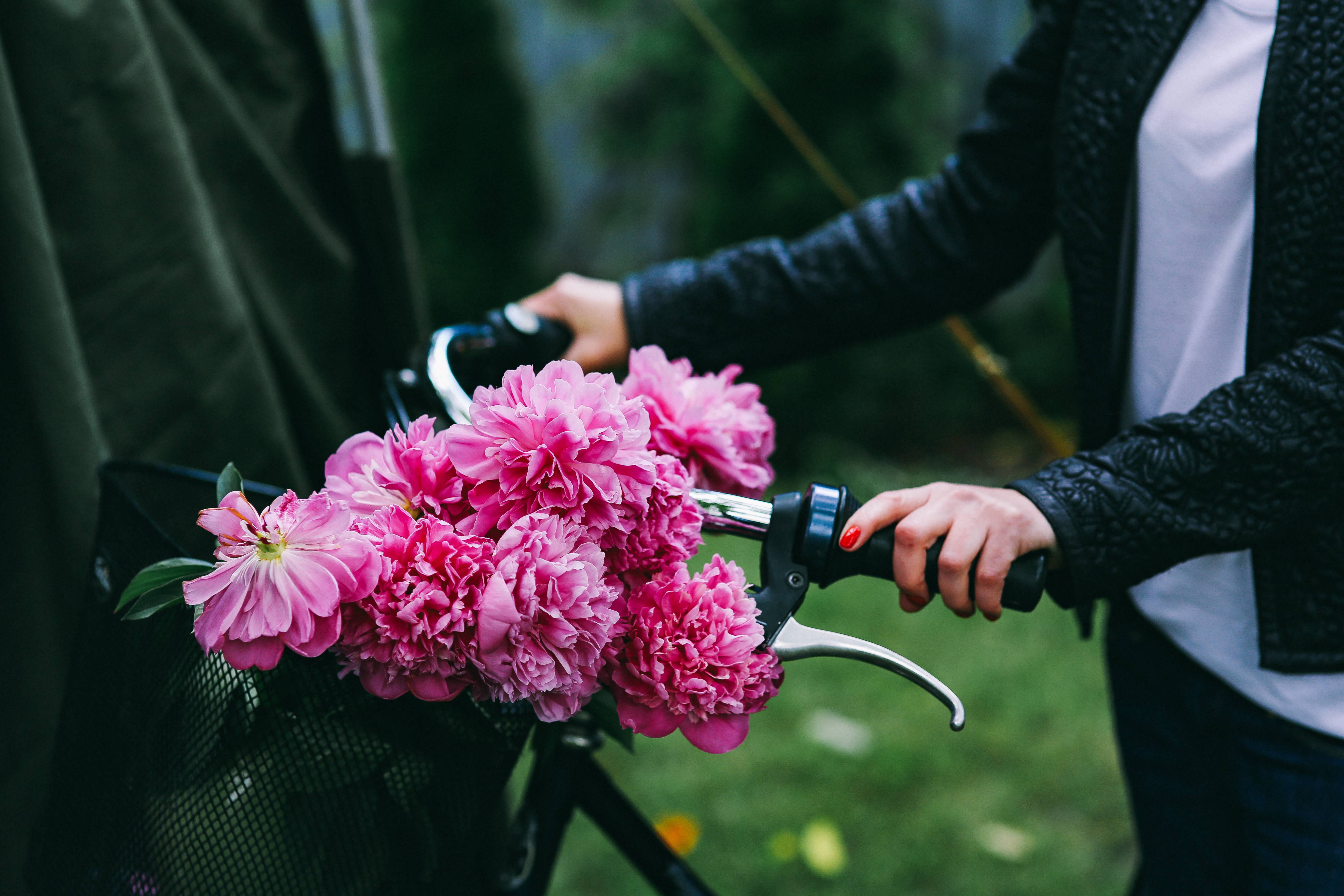 focus on foreground, flower, basket, beautiful, two people, human body part, hand, men, flower head, people, bouquet, pink, flora, vulnerability, pink color, HD Wallpaper