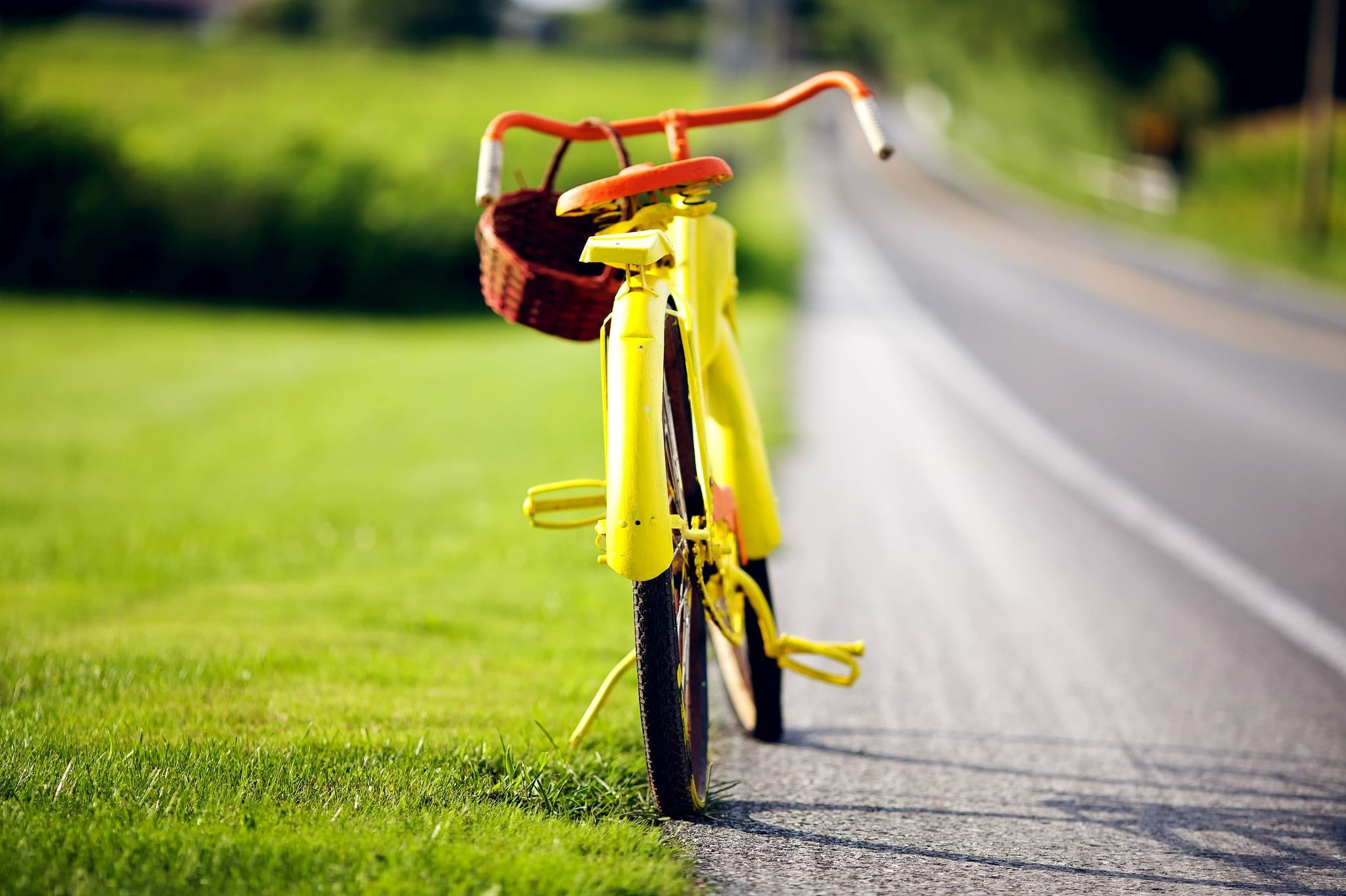 basket, 1080P, bicycle, grass, path, road, HD Wallpaper