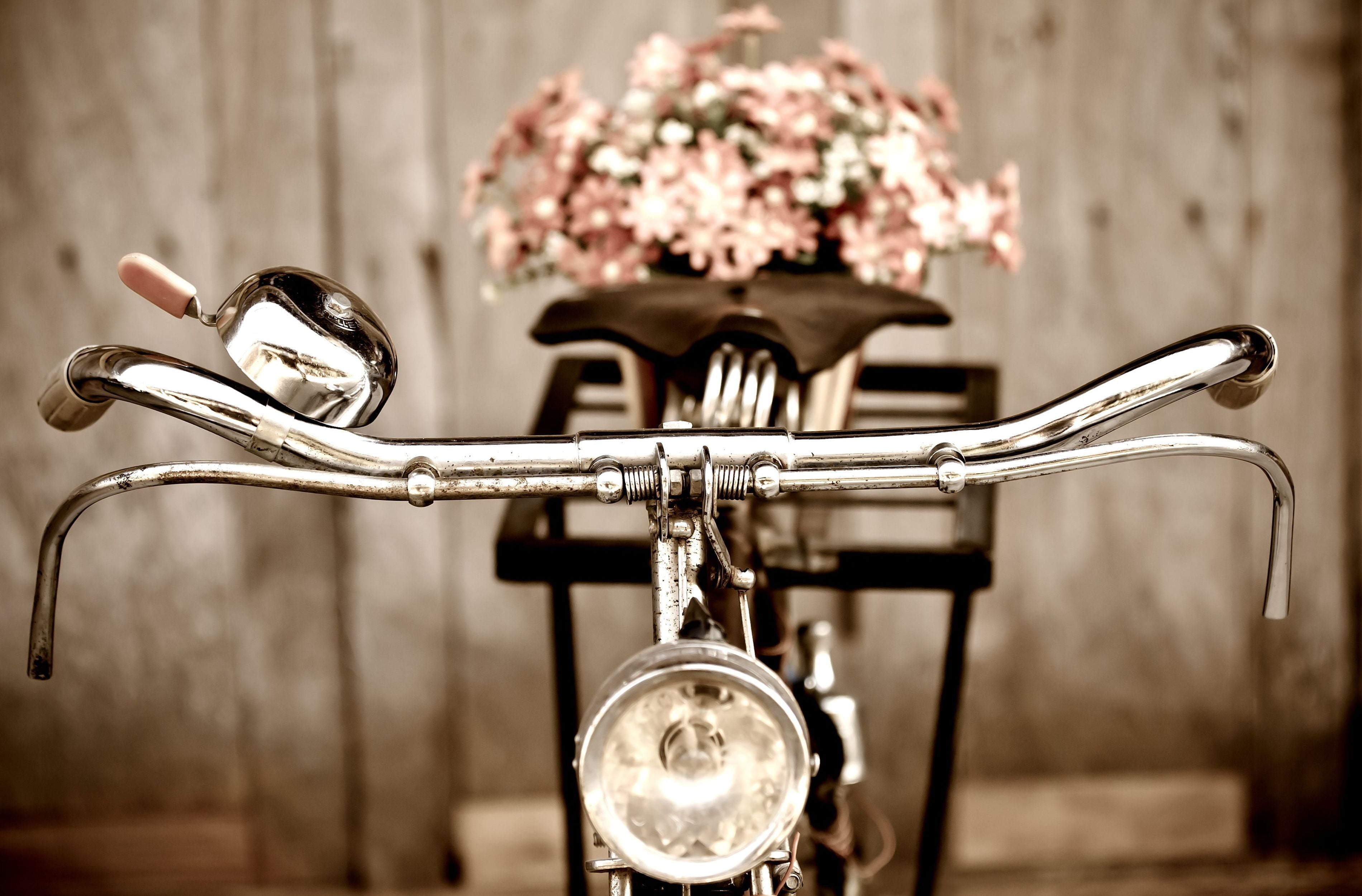 black, handle, plant, gray, indoors, mode of transportation, full screen, flower, cruiser, focus on foreground, bicycle, 2K, handlebar, close-up, HD Wallpaper