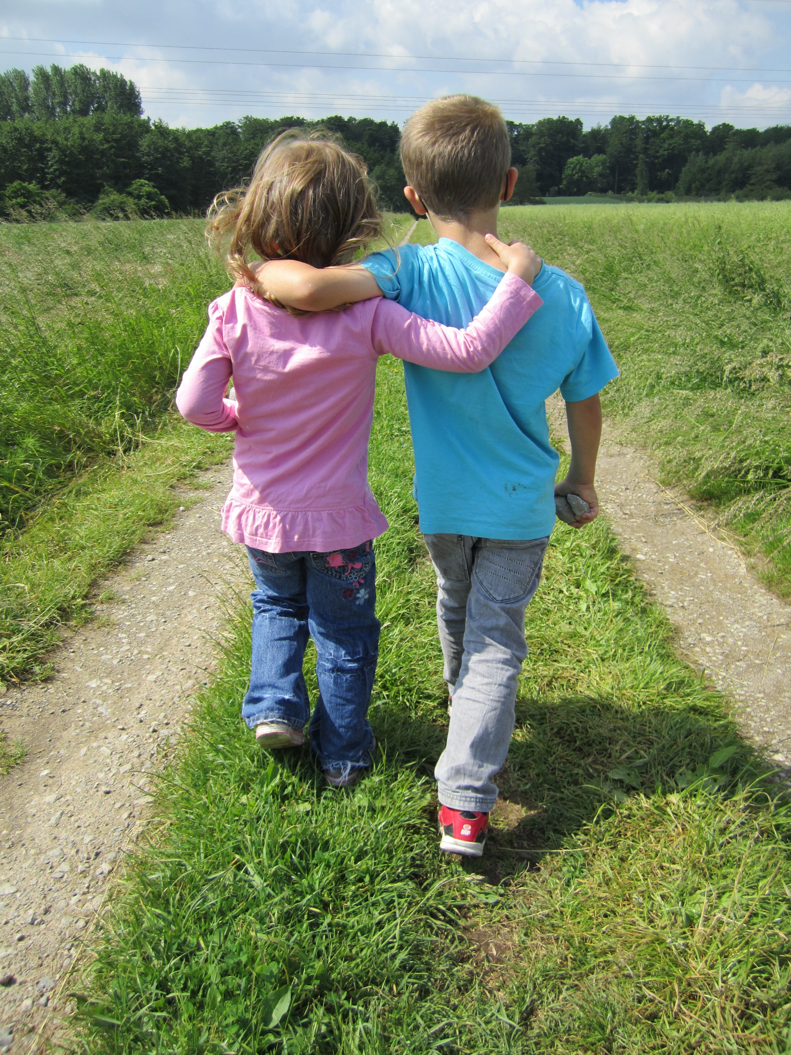 positive emotion, sibling, innocence, leisure activity, two, two people, casual clothing, brother, meadow, boys, for two, pathway, more, males, together, Phone HD Wallpaper