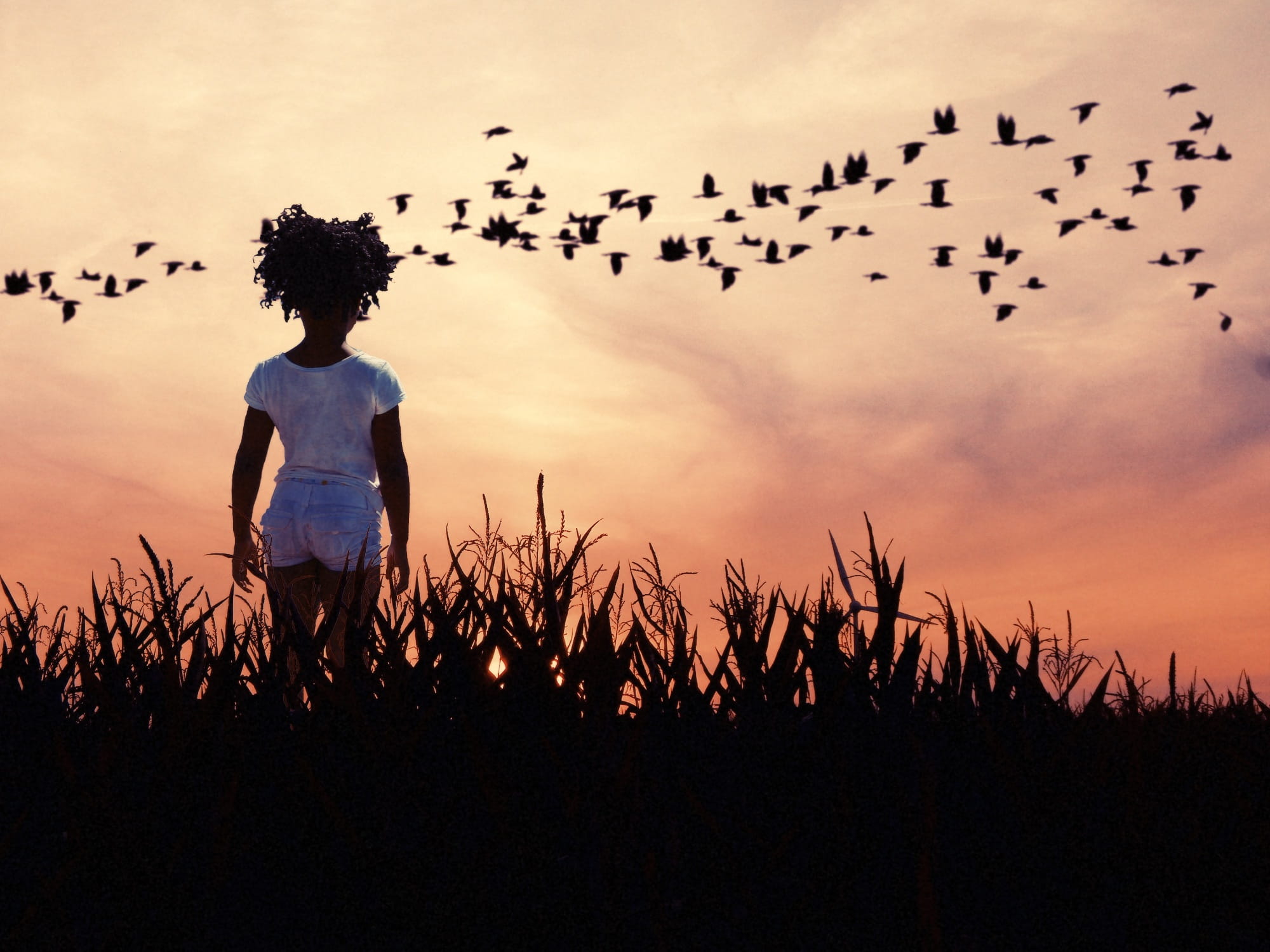 land, hope, flying, plant, flock of birds, large group of animals, women, casual clothing, woman in white, outdoors, one person, sky, golden, rear view, HD Wallpaper