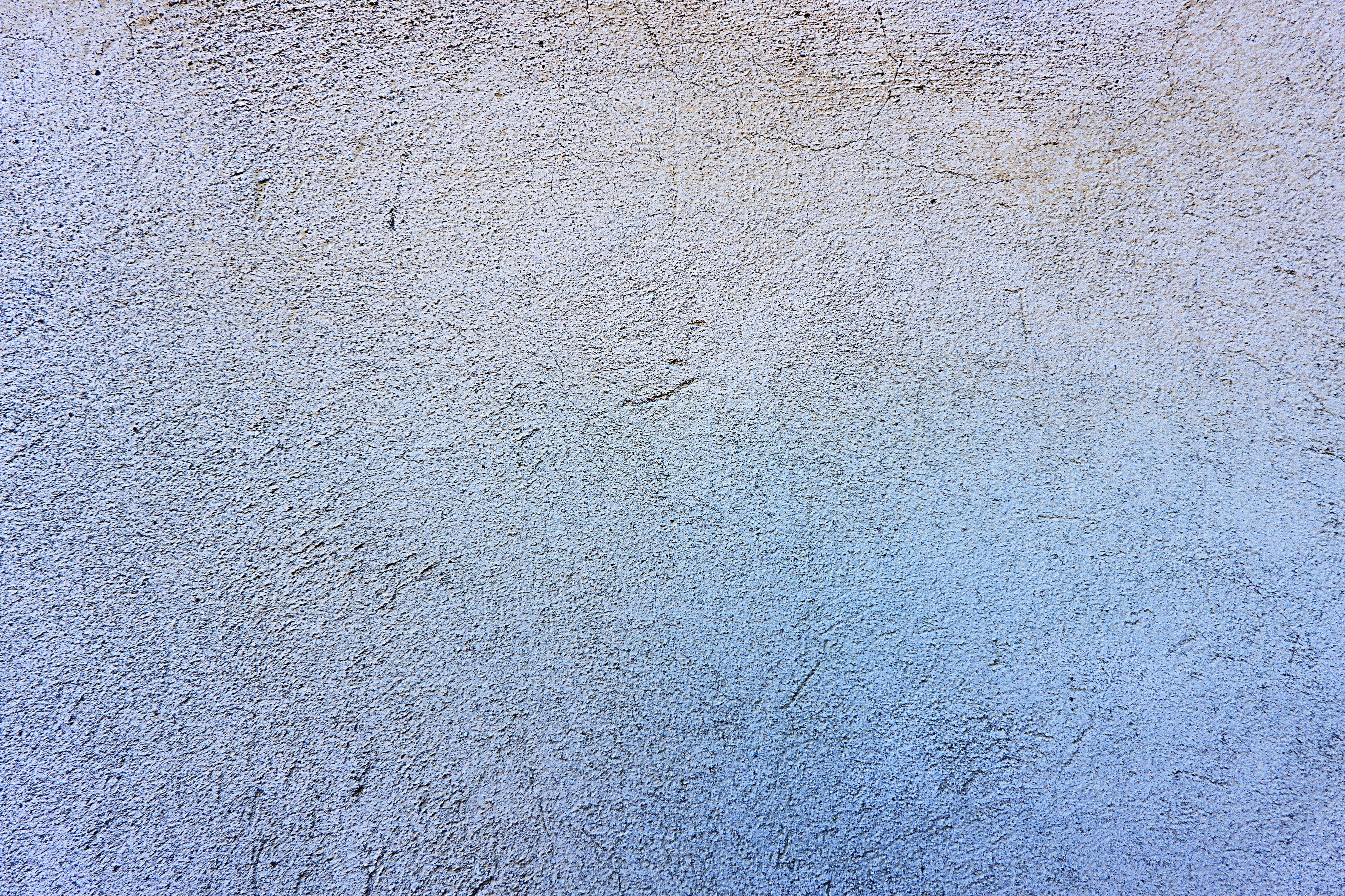 no people, invertebrate, insect, day, tarmac, building exterior, built structure, backgrounds, close-up, weathered, blue, dung beetle, canvas, leash, glitter, HD Wallpaper