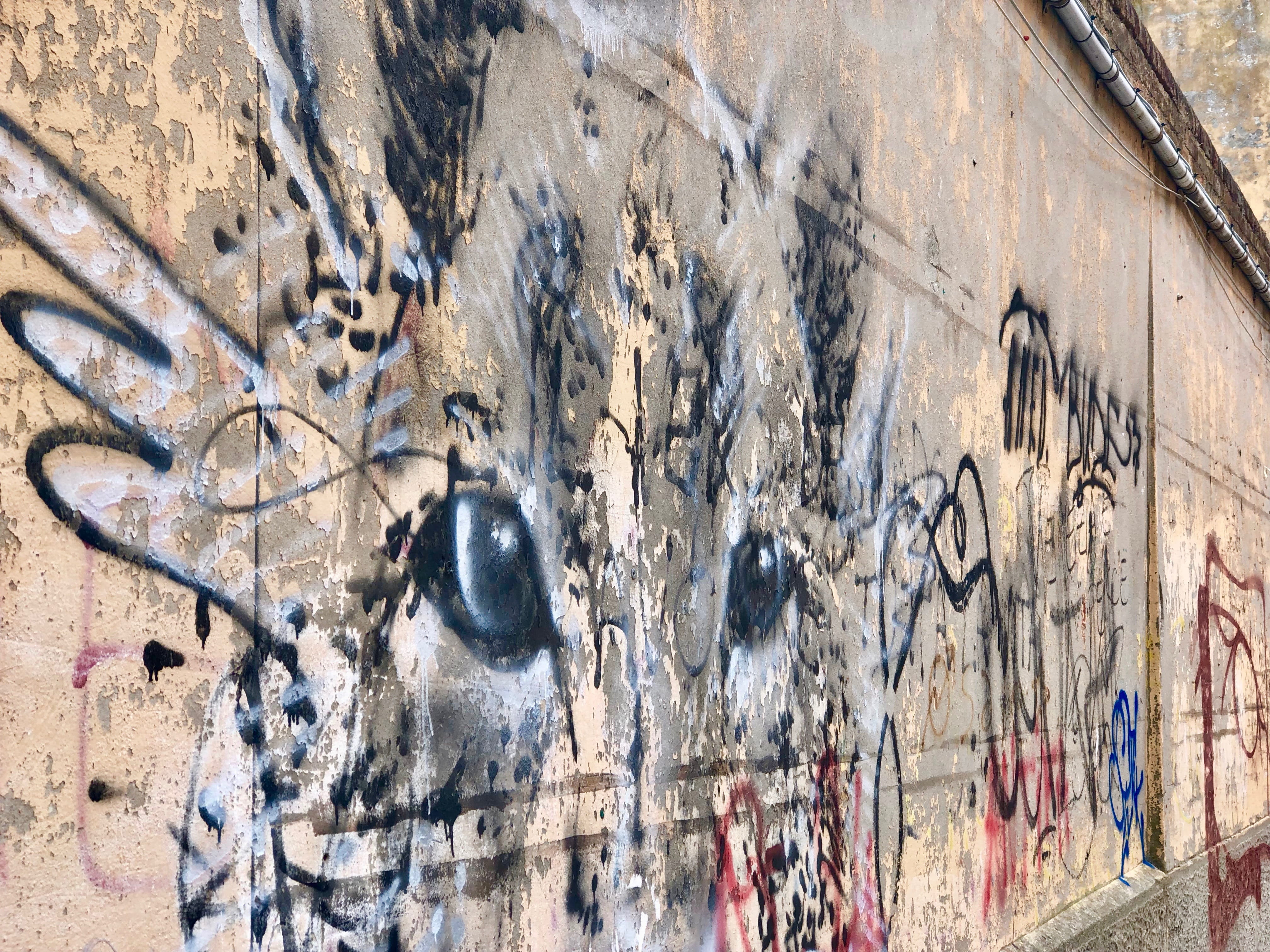 road, insect, weathered, leaopard, wall, building, art and craft, back, sunlight, venice, day, graffiti, the past, close-up, history, graphitti, old, representation, HD Wallpaper