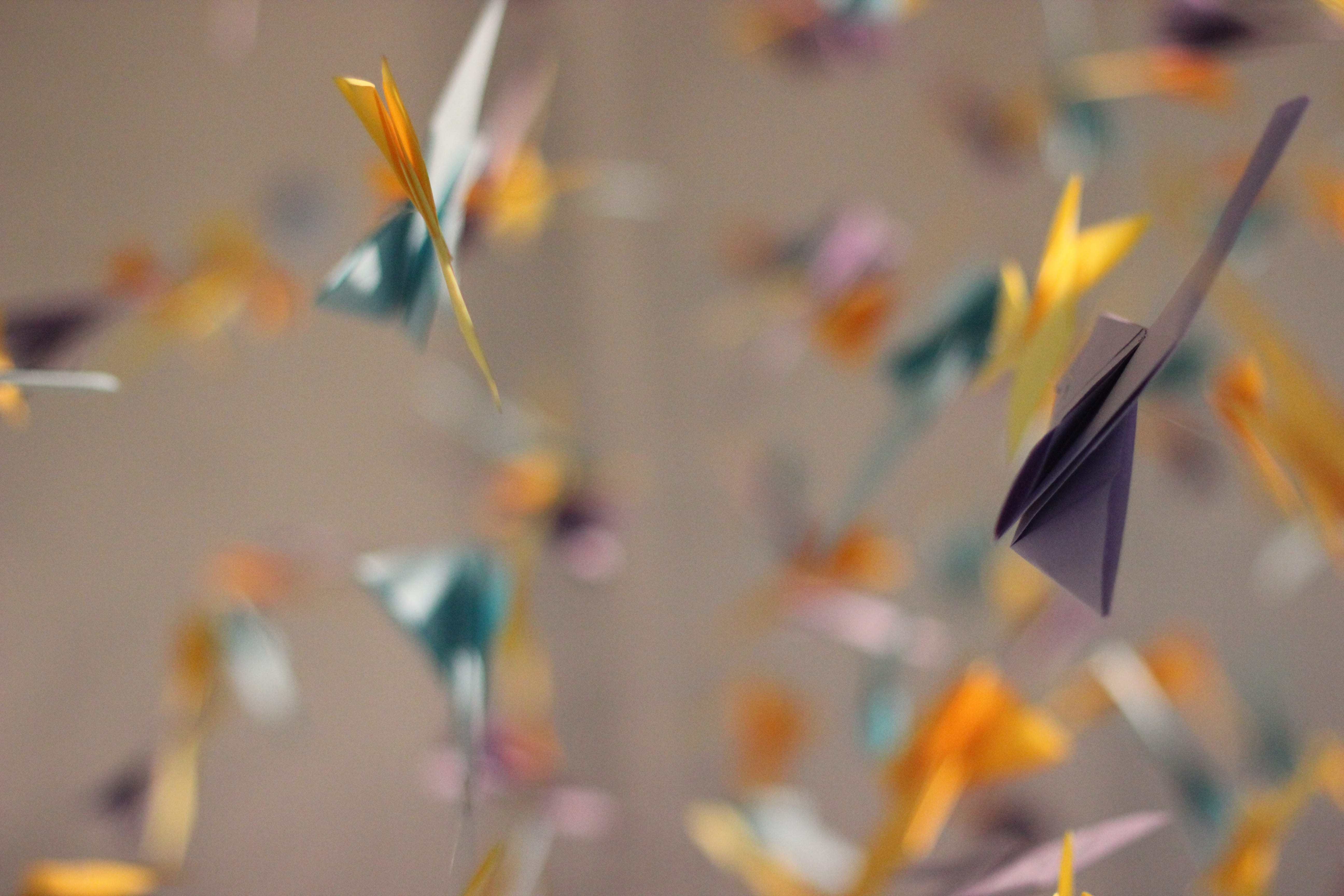 drink, event, glass, no people, food and drink, butterfly, streamer, moth, art, burger, luxury, new years eve, modern art, bird, confetti, 5K, nature, HD Wallpaper