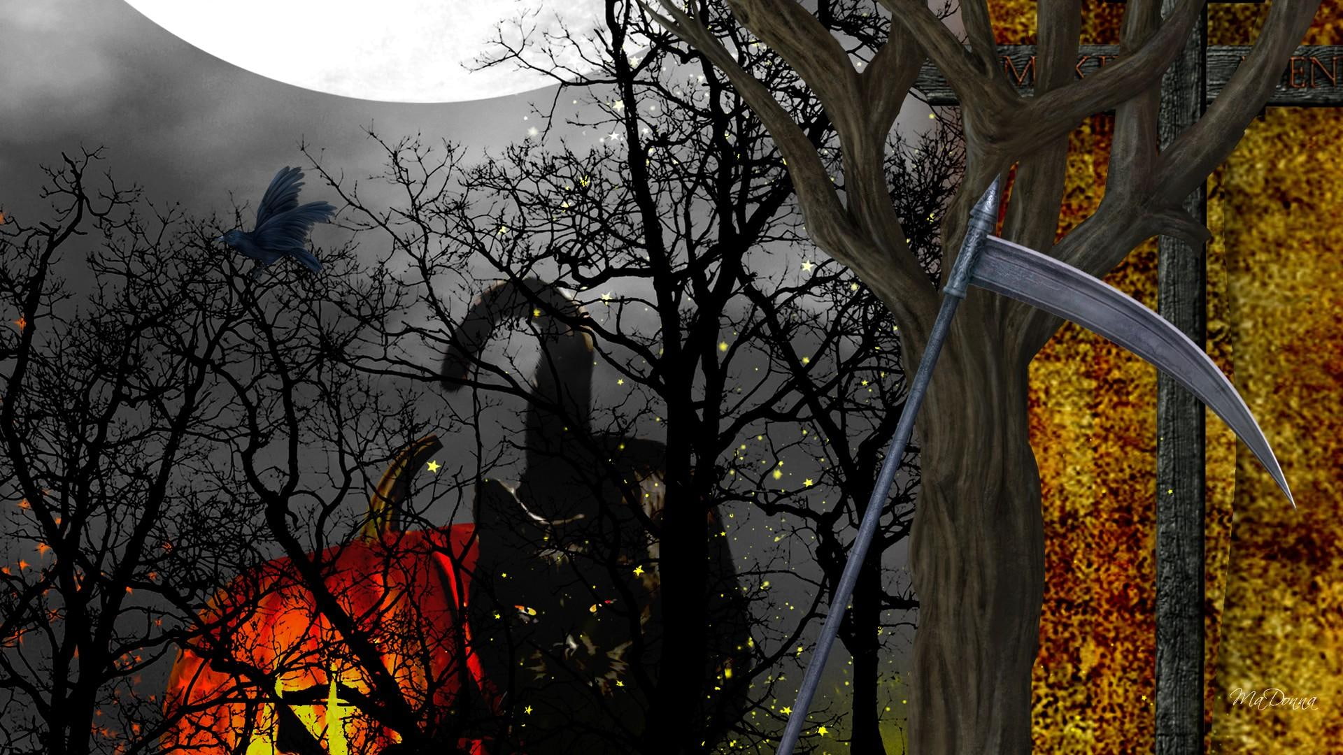 night, full moon, ravens, splatter, 1080P, black, halloween, black cat, jack o lantern, scary, cats, pumpkin, stars, dead trees, HD Wallpaper