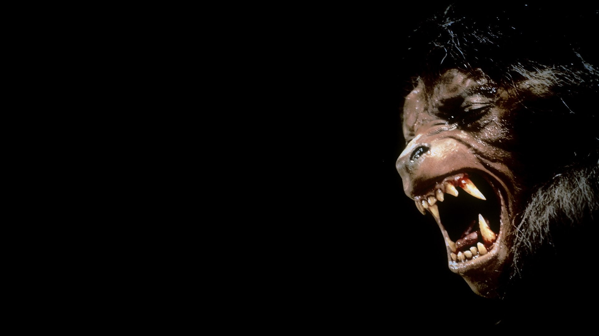 1080P, An American Werewolf In London, Movie, HD Wallpaper