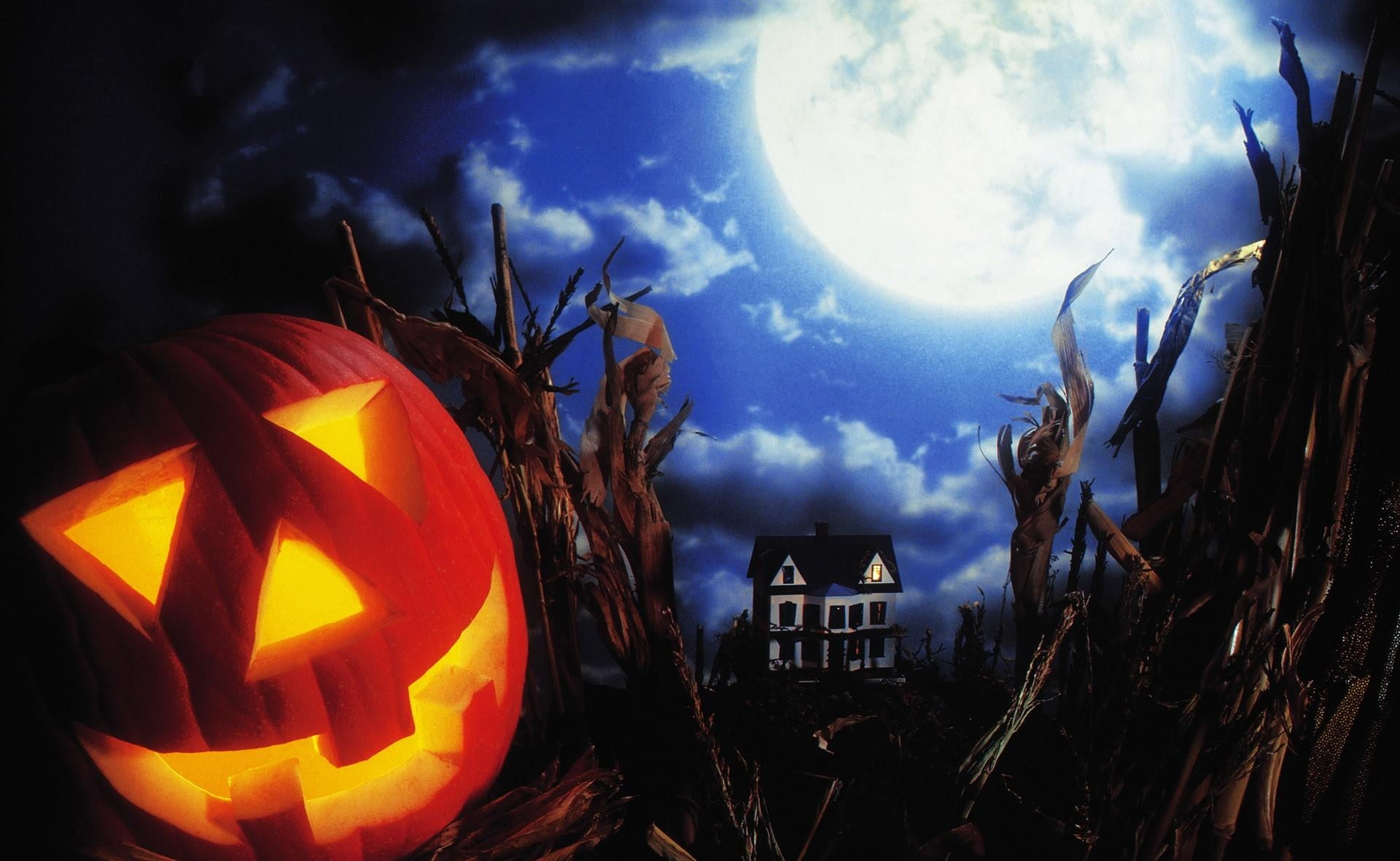 illuminated, terrified, craft, spooky, holiday, decoration, evil, smiling, glowing, halloween, light - Natural Phenomenon, dusk, human Face, HD Wallpaper
