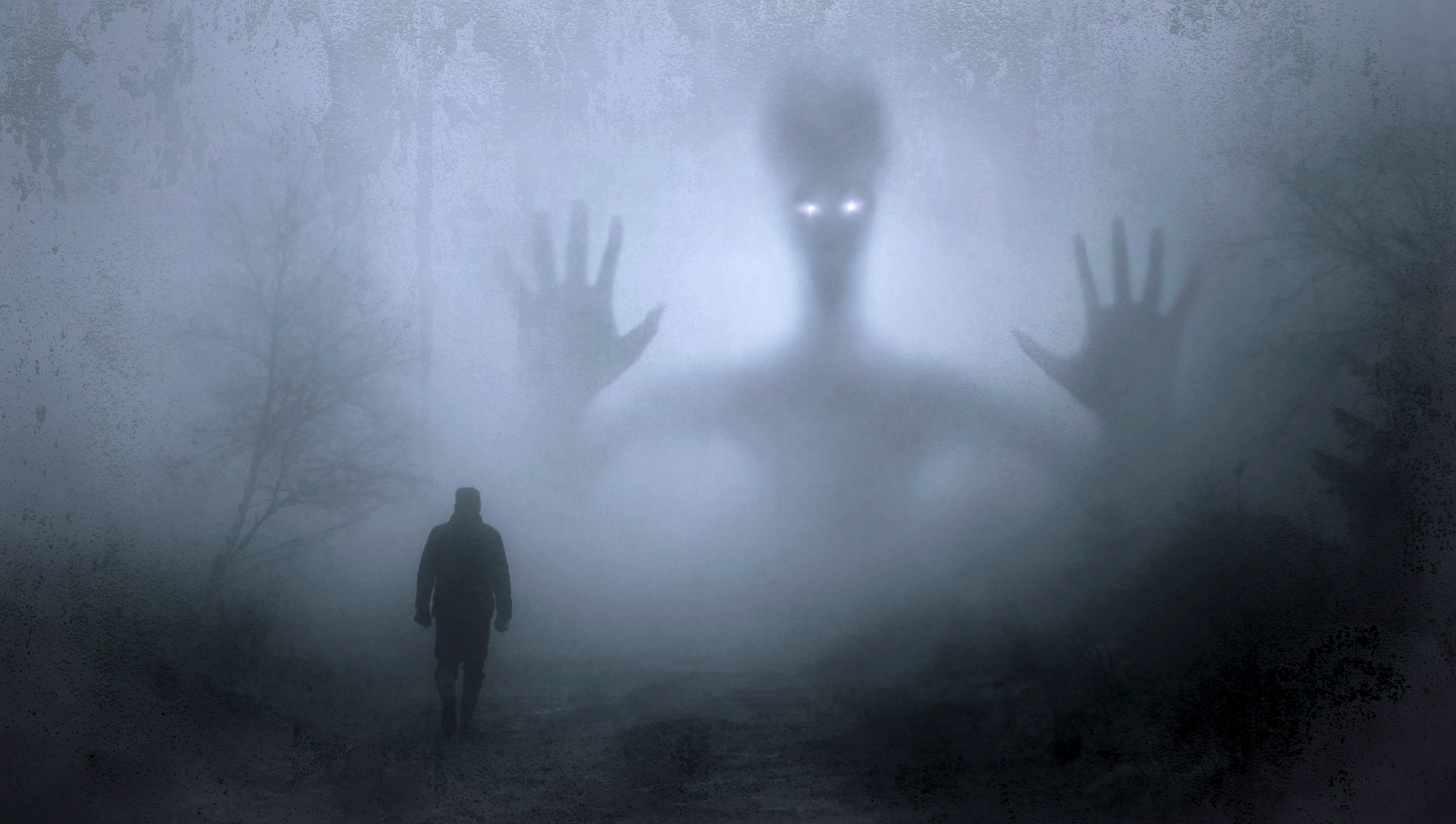 horror, full length, terrified, nature, adult, people, silhouette, fog, fantasy, dark, artistic, emotion, men, aggression, solitude, forest, 4K, evil, HD Wallpaper
