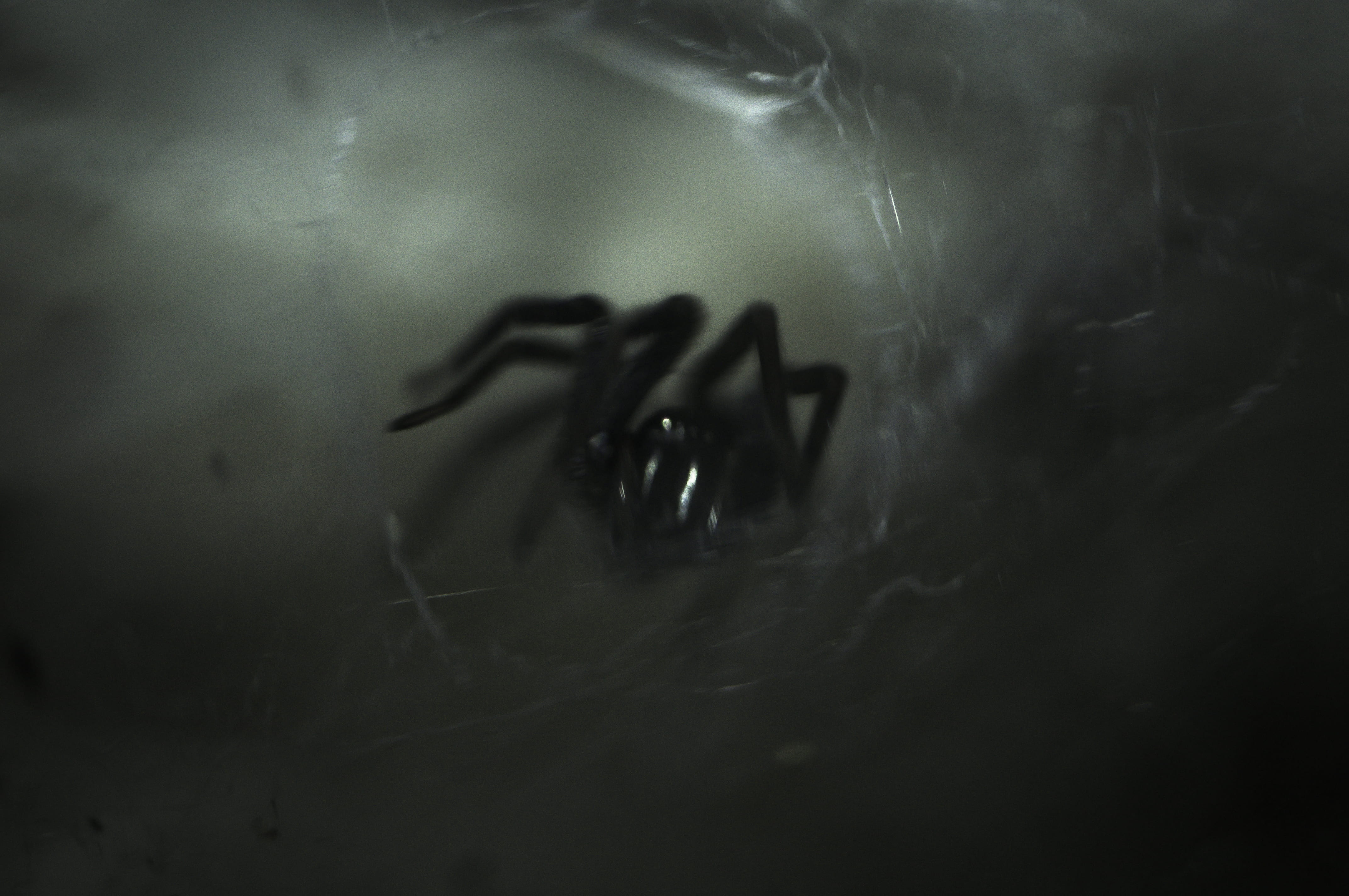 communication, fear, underwater, surface, mystery, dark, scary, people, human hand, adult, ghost, terrified, spooky, horror, women, silhouette, black, emotion, HD Wallpaper
