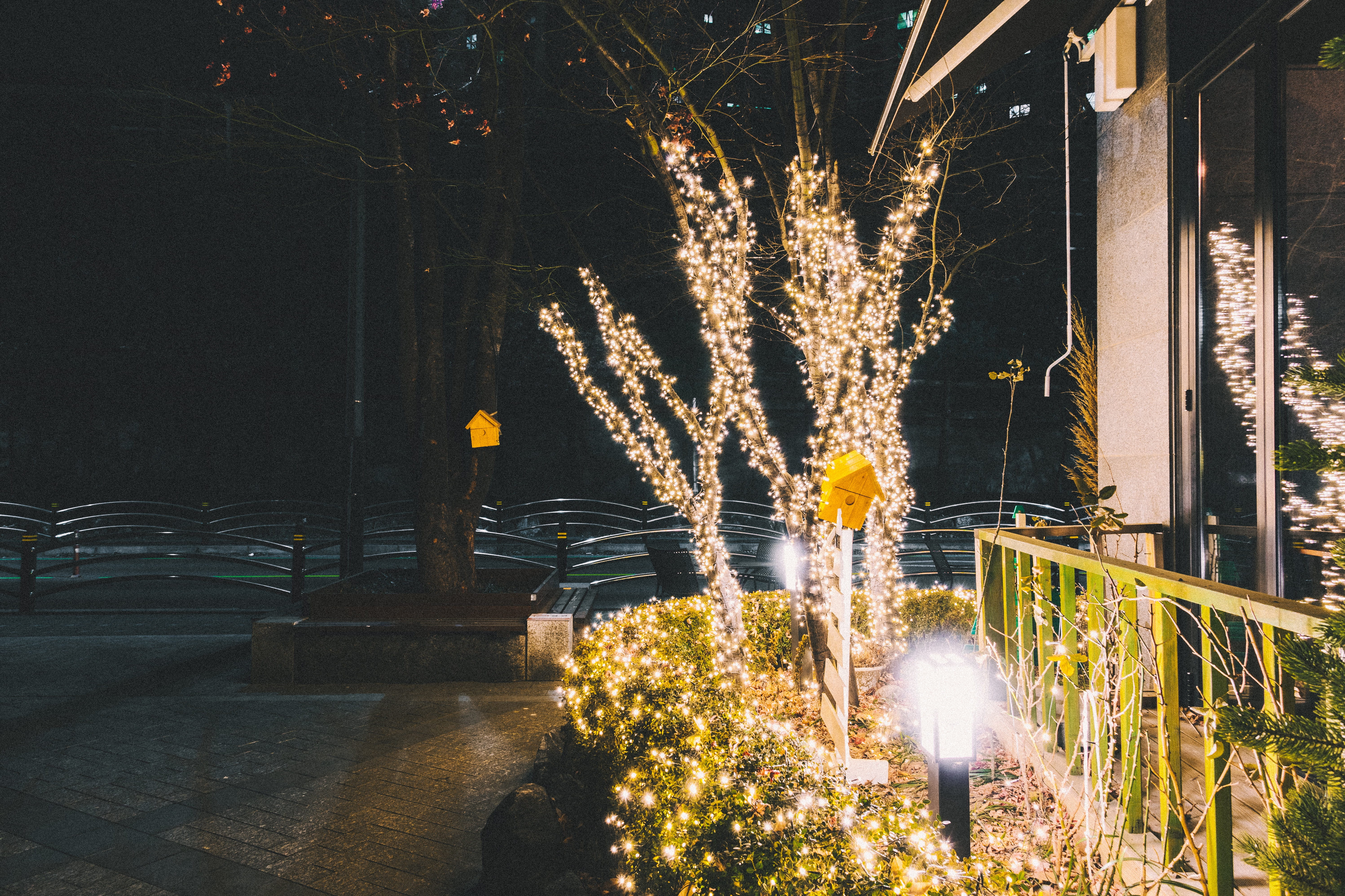 asphalt, 12 baekbeom-ro 90da-gil, flower bouquet, flare, tarmac, 5K, night, decoration, sunlight, long exposure, architecture, illuminated, lighting equipment, HD Wallpaper