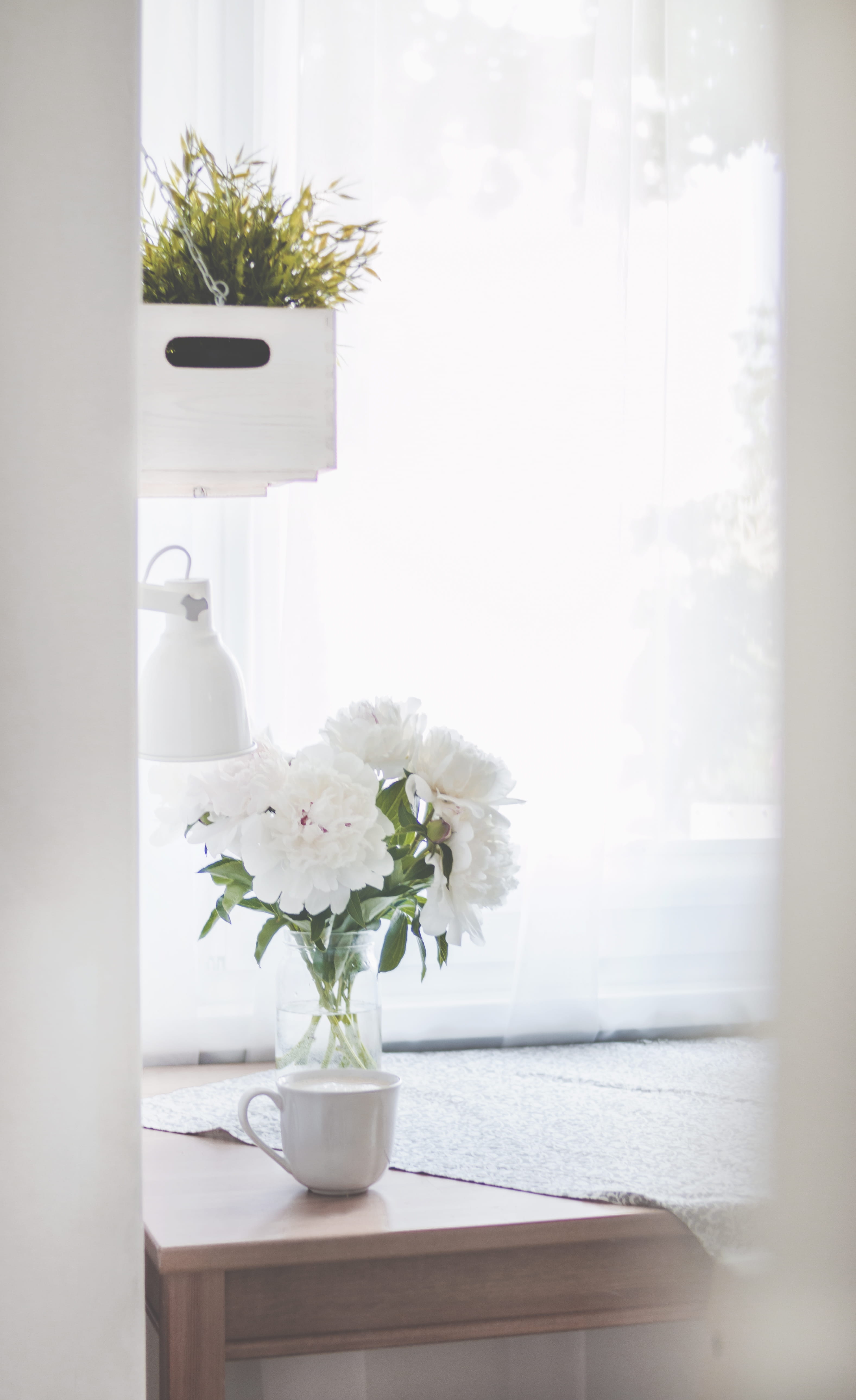5K, bathroom, day, glass, vase, flower, freshness, furniture, white, photography, decoration, flowering plant, home interior, contemporary, home, plant, Phone HD Wallpaper