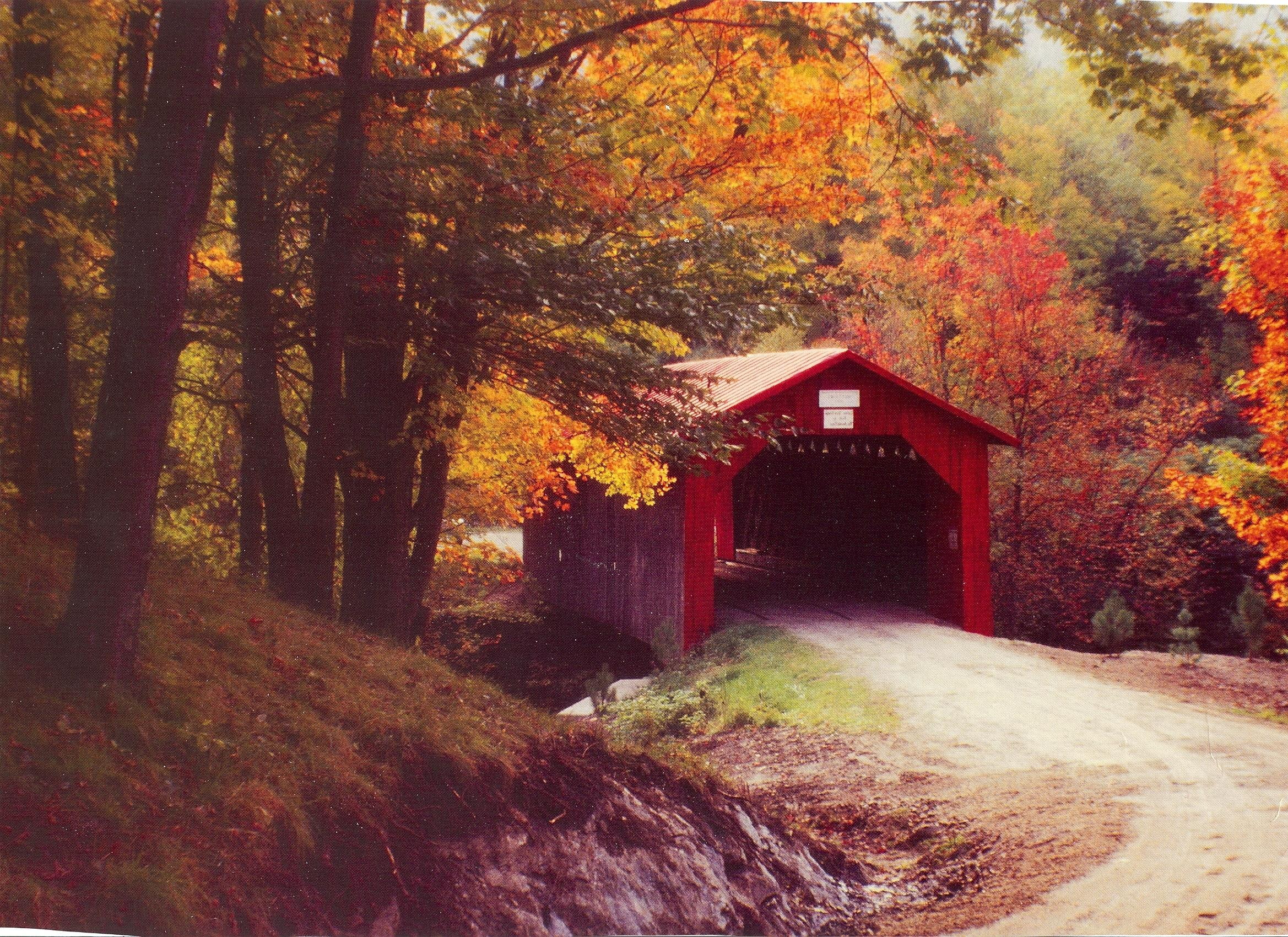 autumn, trees, 1080P, rural, animals, covered, bridge, covered bridge, shed, red, HD Wallpaper