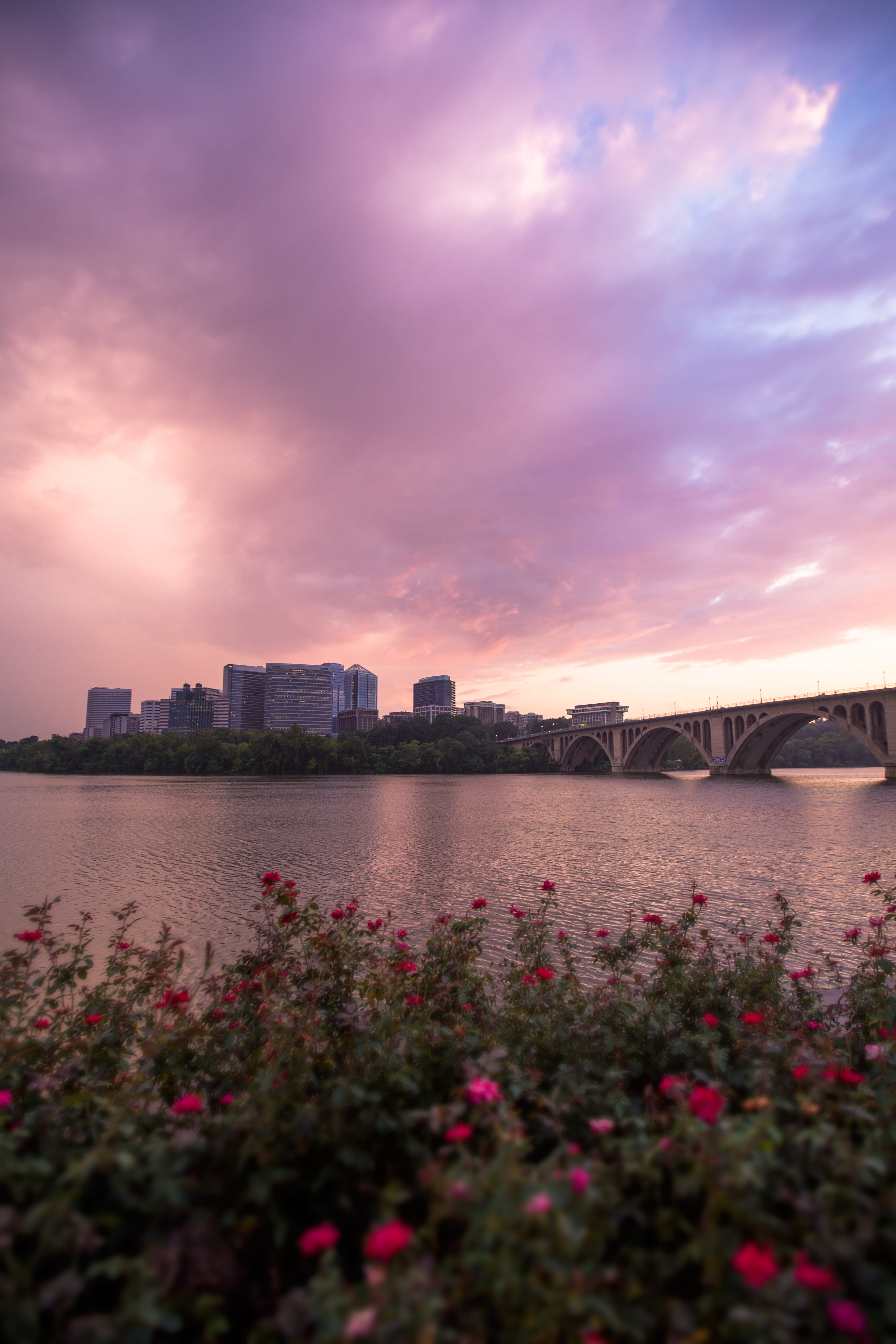 rosslyn, river, virginia, georgetown, arlington, bridge, va, dc, sky, water, washington dc, 5K, freshness, building exterior, skyscraper, no people, key bridge, Phone HD Wallpaper