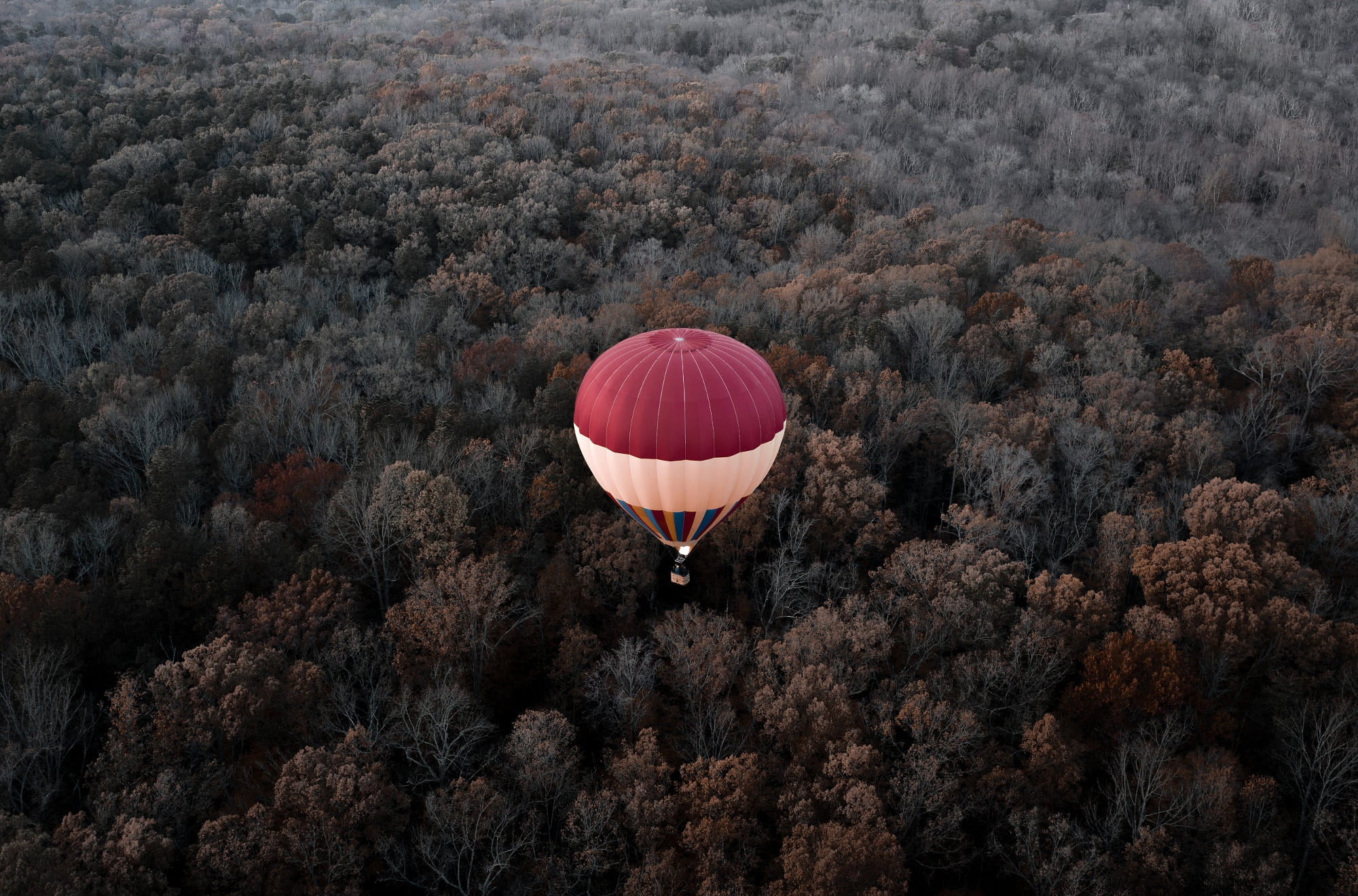 USA, VA, 1080P, flight, forest, height, balloon, autumn, America, HD Wallpaper