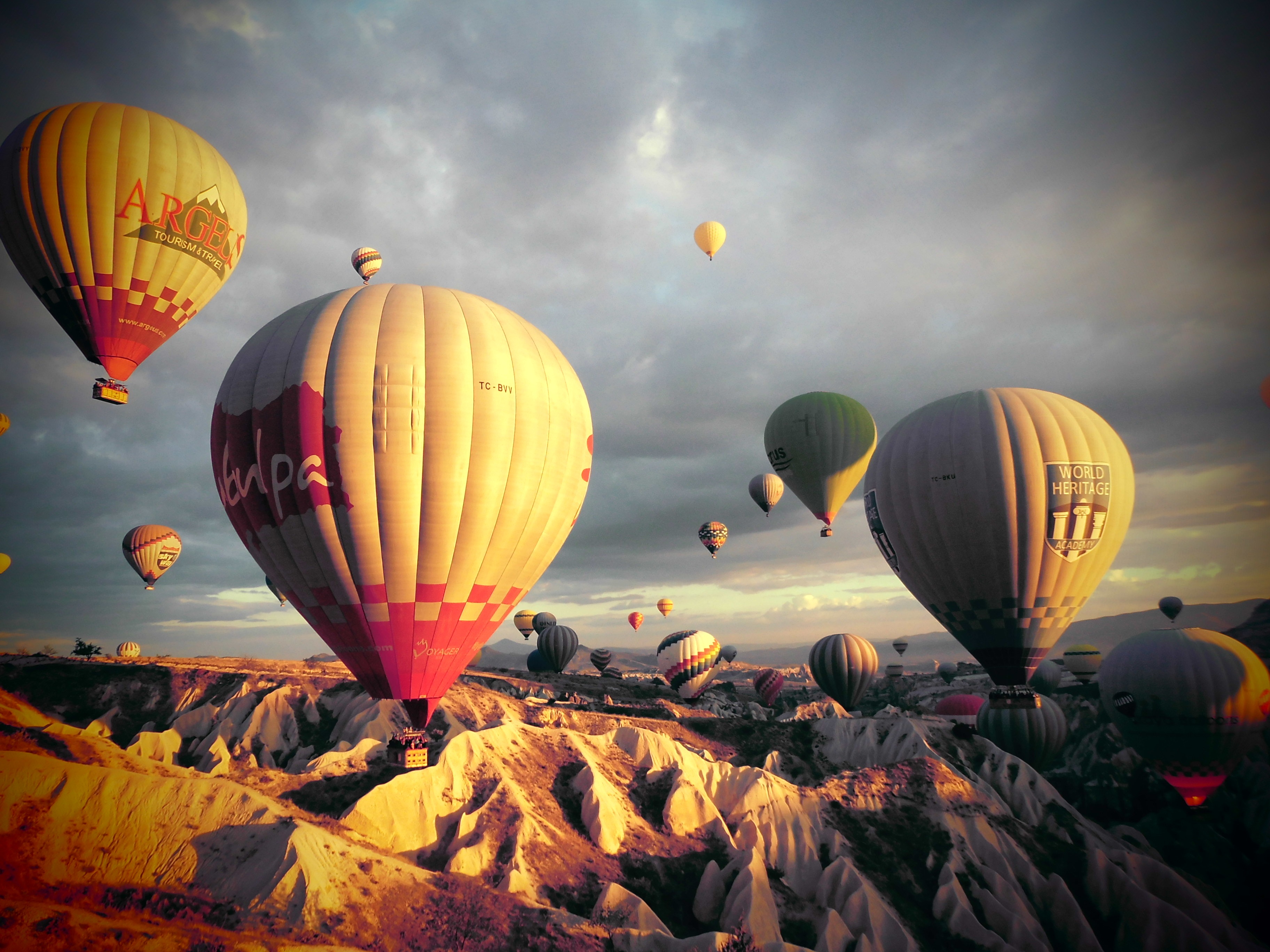 multi Colored, ballooning festival, basket, air Vehicle, mid-air, air, heat - Temperature, cappadocia, adventure, kia cap-wave, cloud - sky, daytime, anatolia, HD Wallpaper