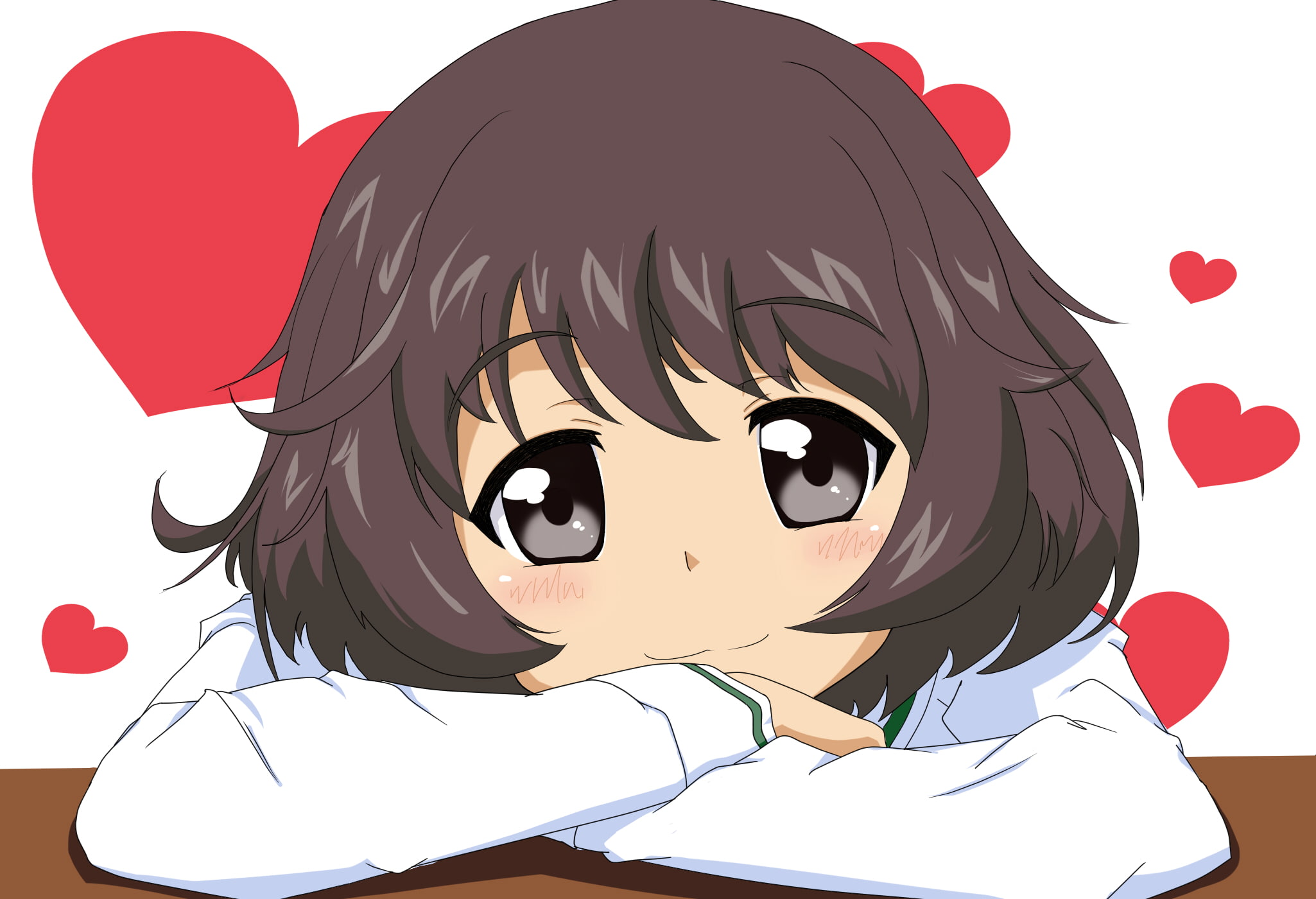 1080P, girls, und, panzer, akiyama, yukari, chaba, HD Wallpaper