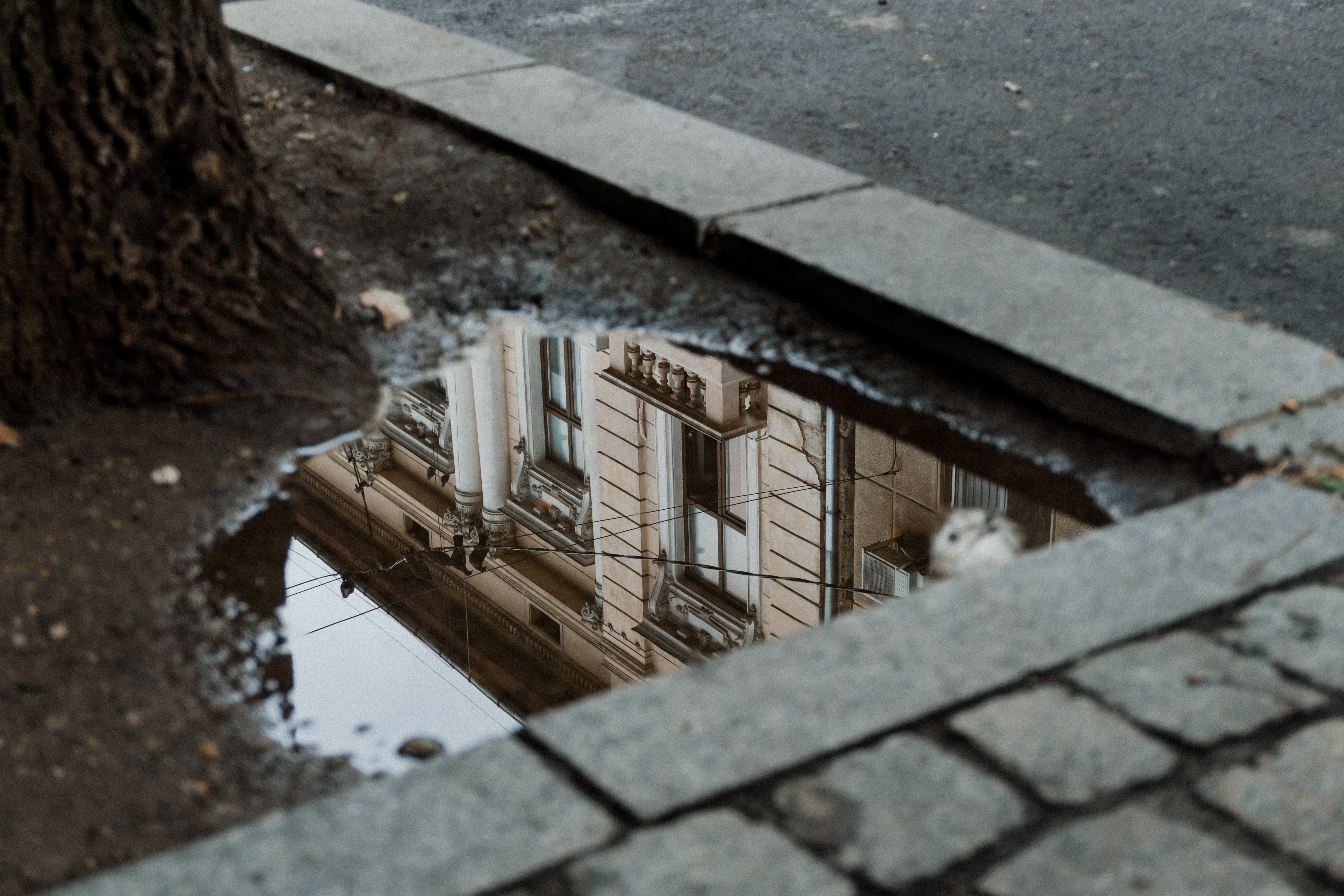 built Structure, water, puddle, cobblestone, construction Industry, concrete, still, brick, painted, no People, wall - Building Feature, sidewalk, autumn, HD Wallpaper