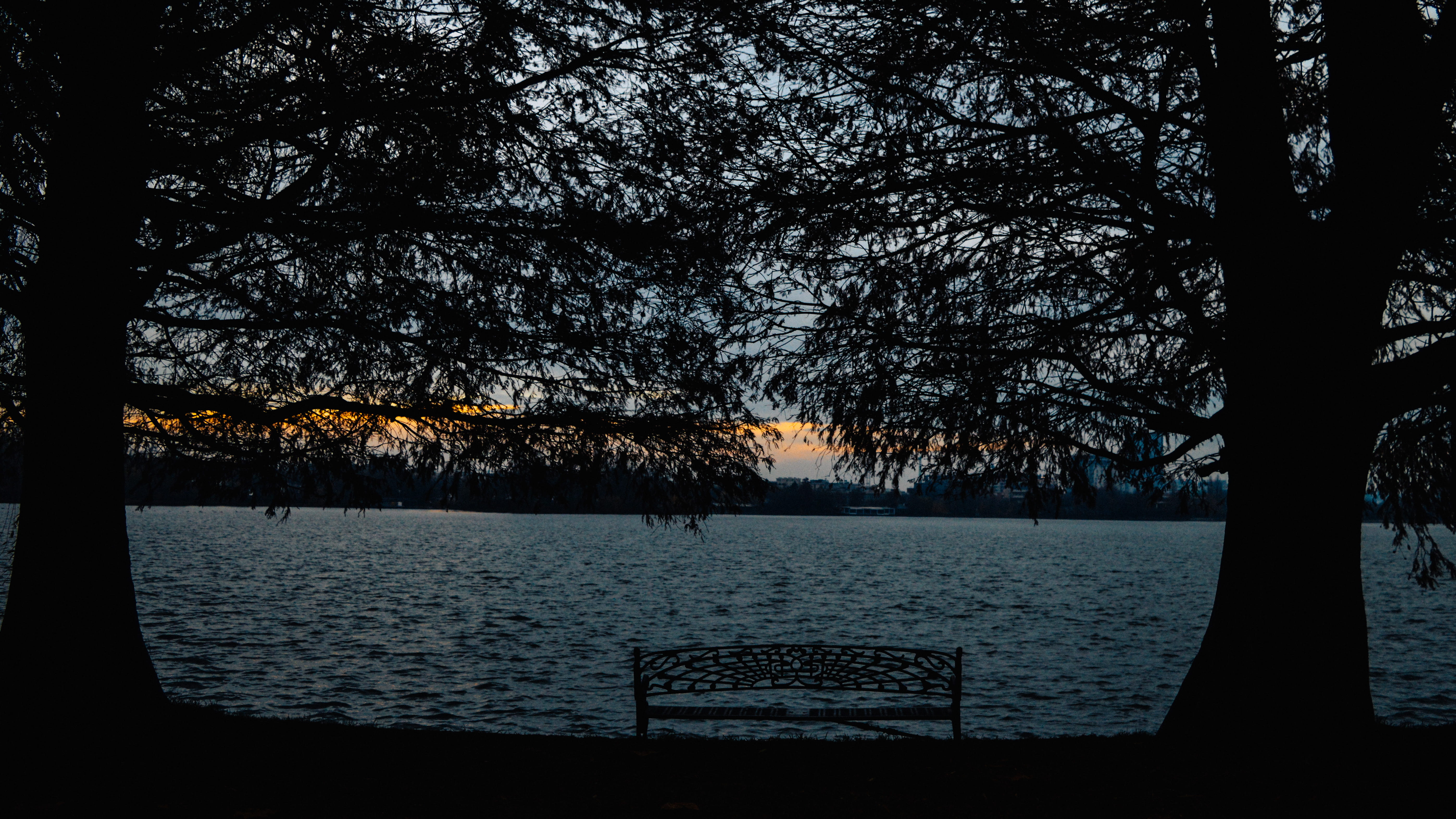 plant, 5K, beauty in nature, idyllic, scenics - nature, lake, tranquil scene, bench, tranquility, silhouette, outdoors, growth, water, sky, romania, trees, HD Wallpaper